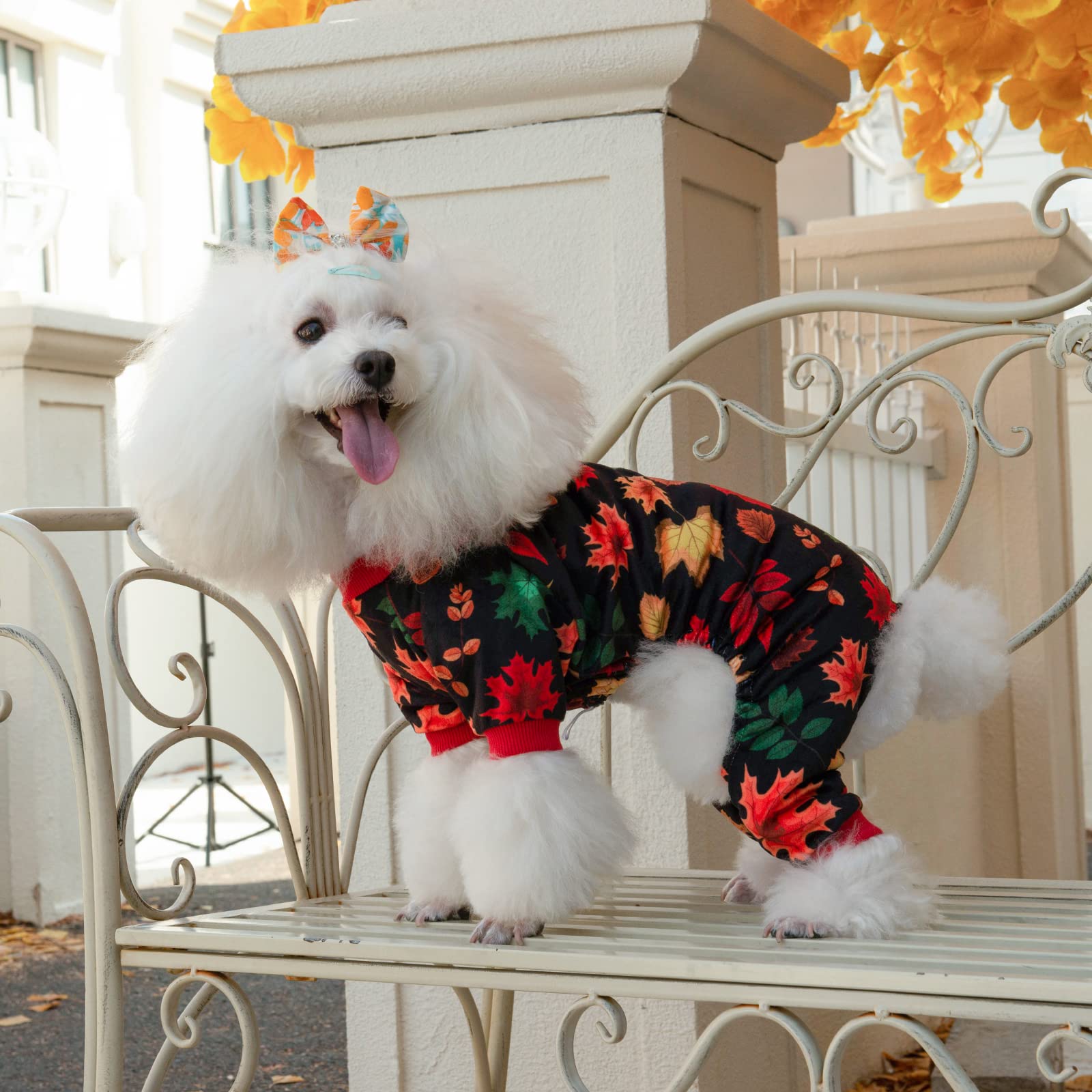 Cutebone Dog Christmas Pajamas Puppy Onesies Small Dogs Soft Pjs Coat Cat Apparel Comfy Pet Clothes Outfit Doggie Bodysuit P265S