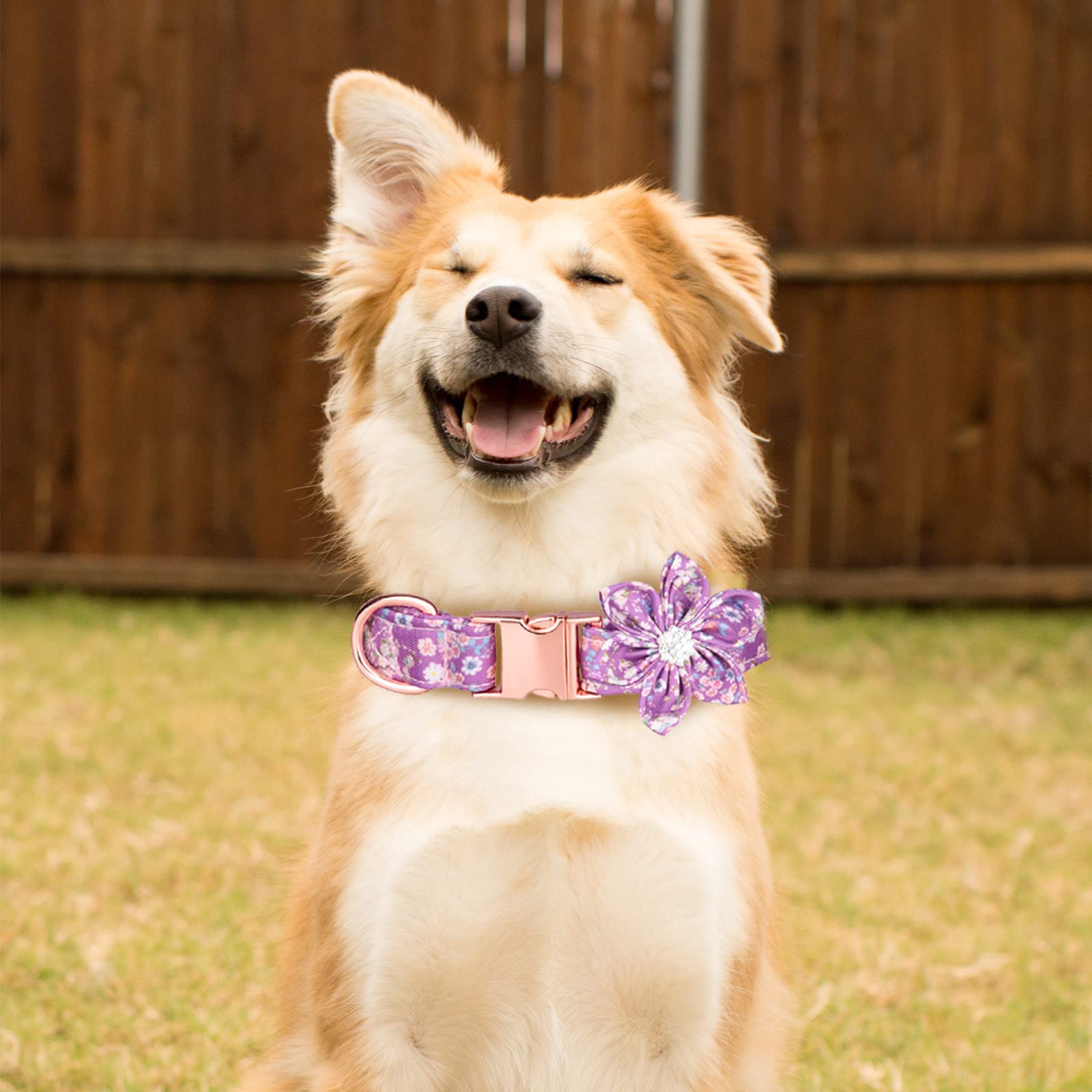 Tdtok Girl Dog Collar For Small Medium Large Dogs, Cute Dog Collar With Detachable Flower Safety Metal Buckle Adjustable Floral Pattern Soft Comfy Cotton Dog Collars, Fit Necks 10.2-23.6’’