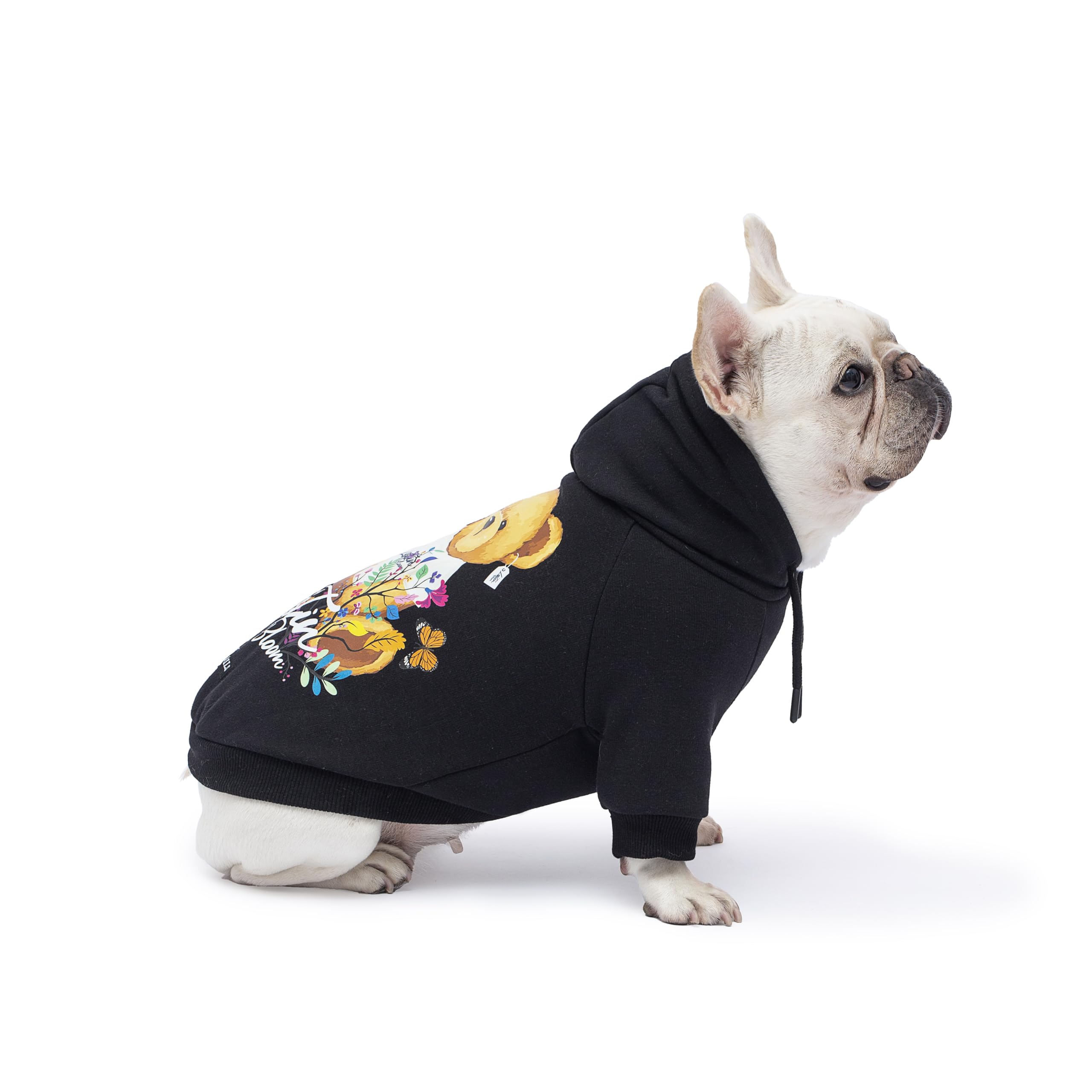 Blooming Teddy Dog Hoodie Dog Clothes Extra Warm Fleece Lining Stretchy Fit For Small Dogs (Black, Medium)