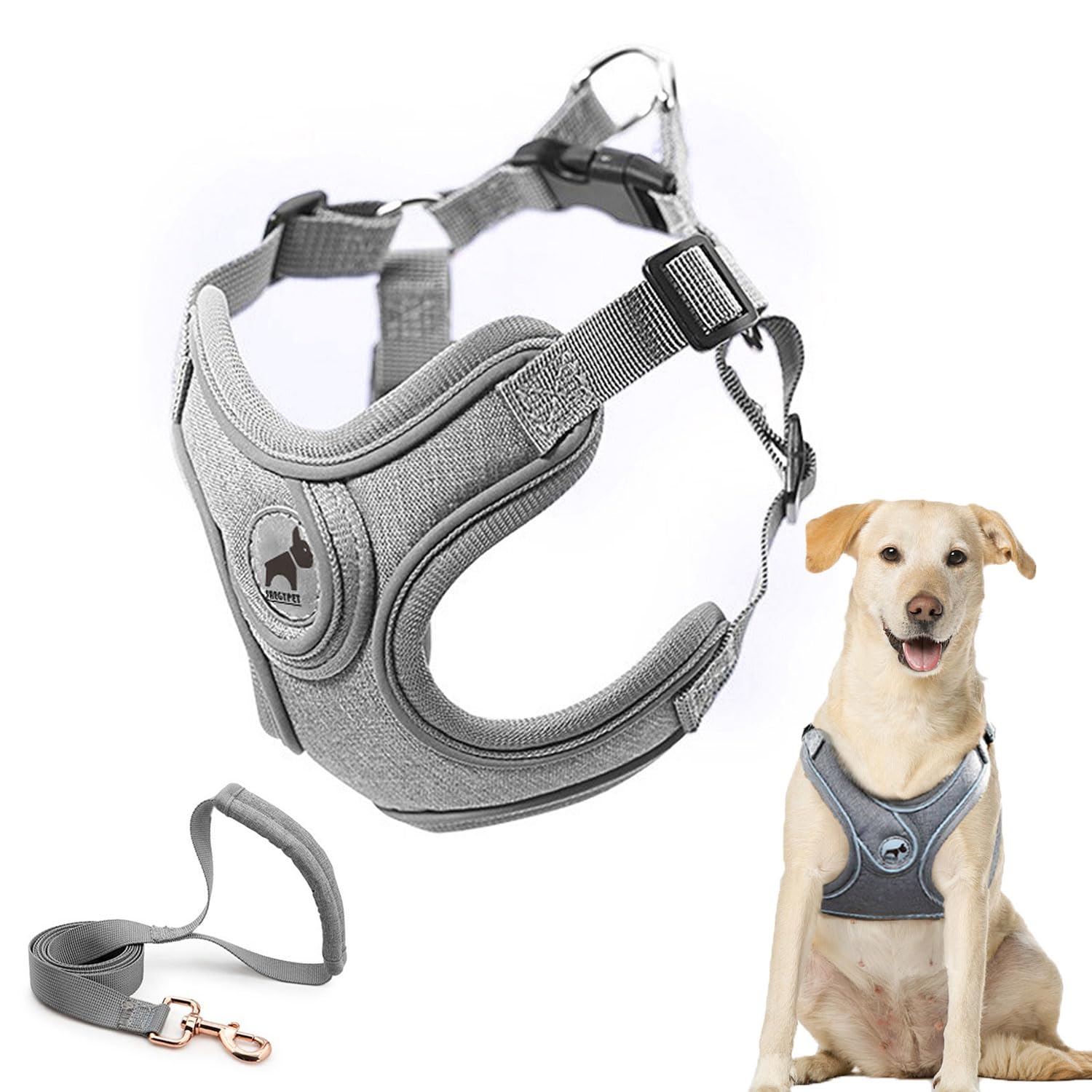 Dog Harness With Leash Set, No Pull Adjustable Step In Dog Collars Harness With Breathable Padded Vest Harness For Small Medium 