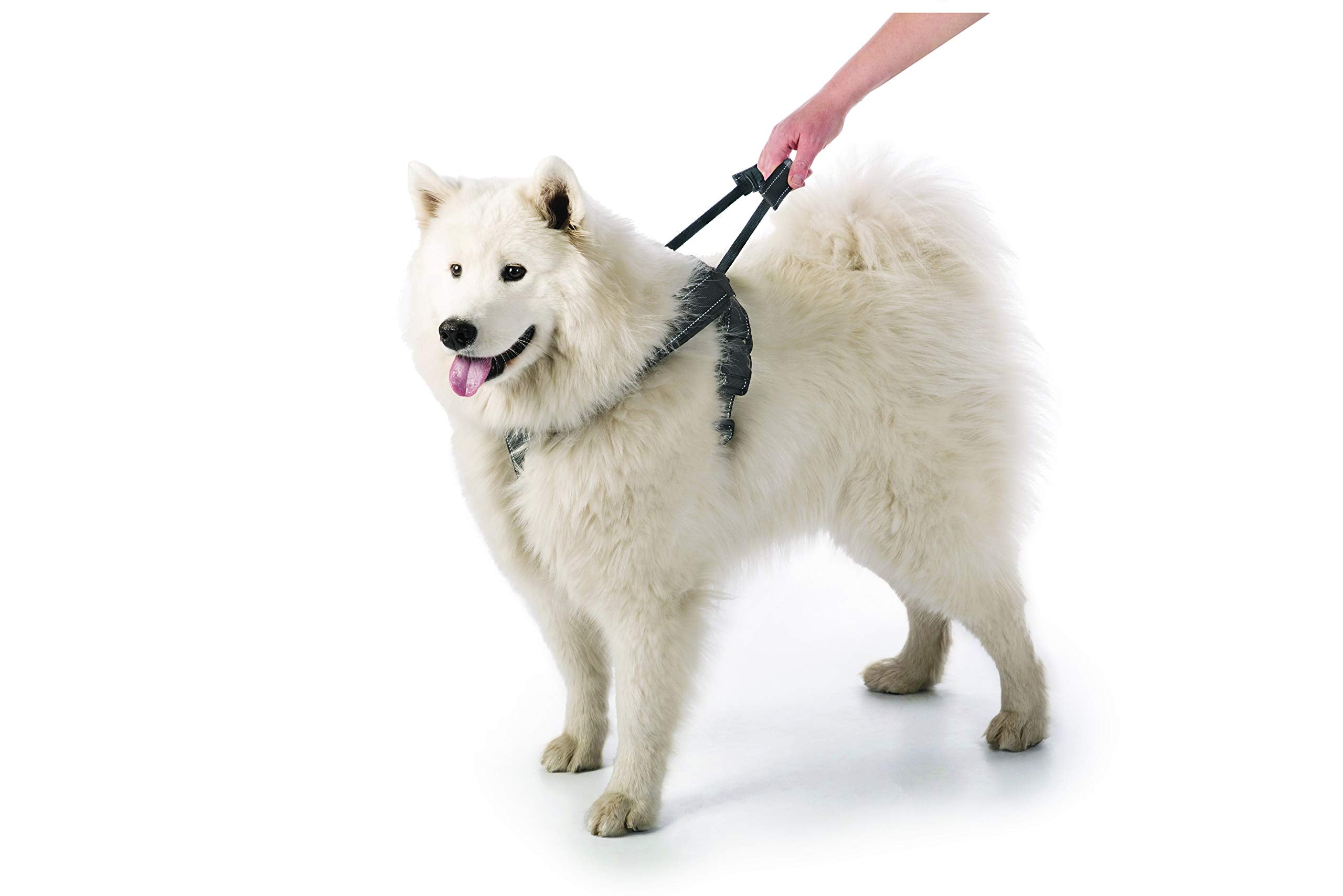 Sherpa Dog Harness, Built-In Quick Grab Handle, Padded - Black, Extra Large