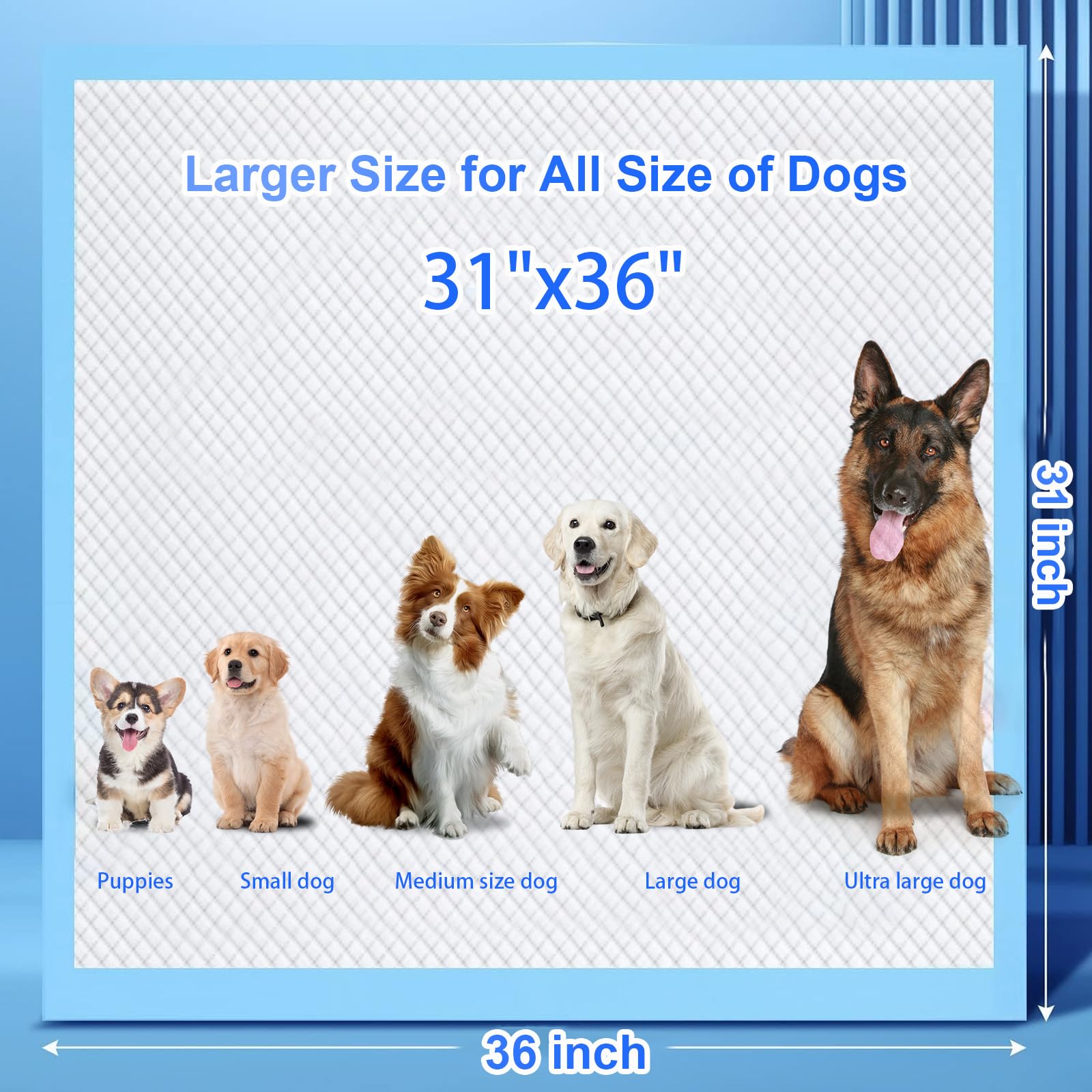 Extra Large Dog Pee Pads, 60 Pads 31 x36  Disposable Training Pads, Puppy Pads with high Absorbency and Leak-Proof Protection fo