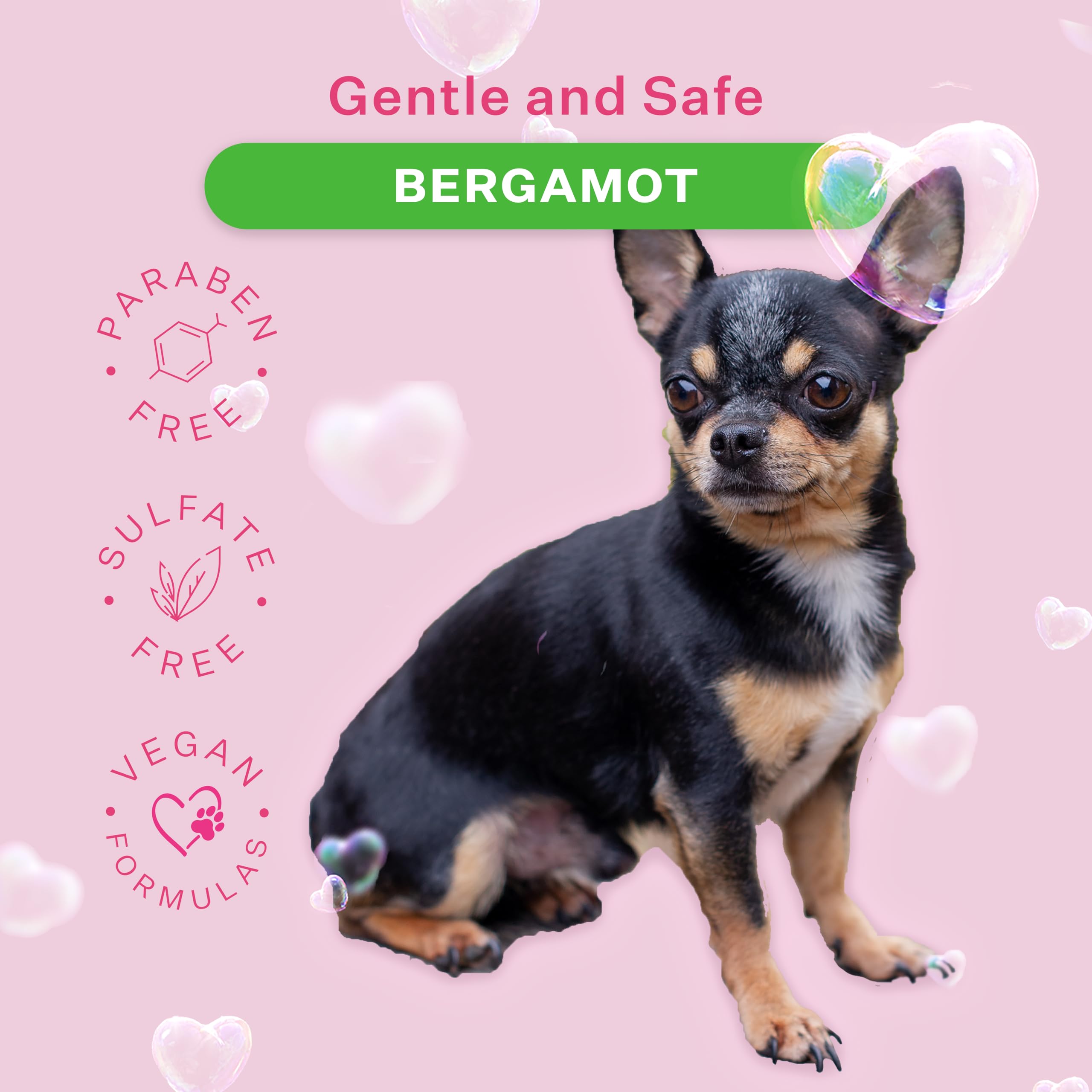 Paris Hilton Pet Iconic Bergamot Scent No-Rinse Dog Shampoo, Waterless Dog Wash, Hypoallergenic, 280Ml - Quick Clean For Dogs, E