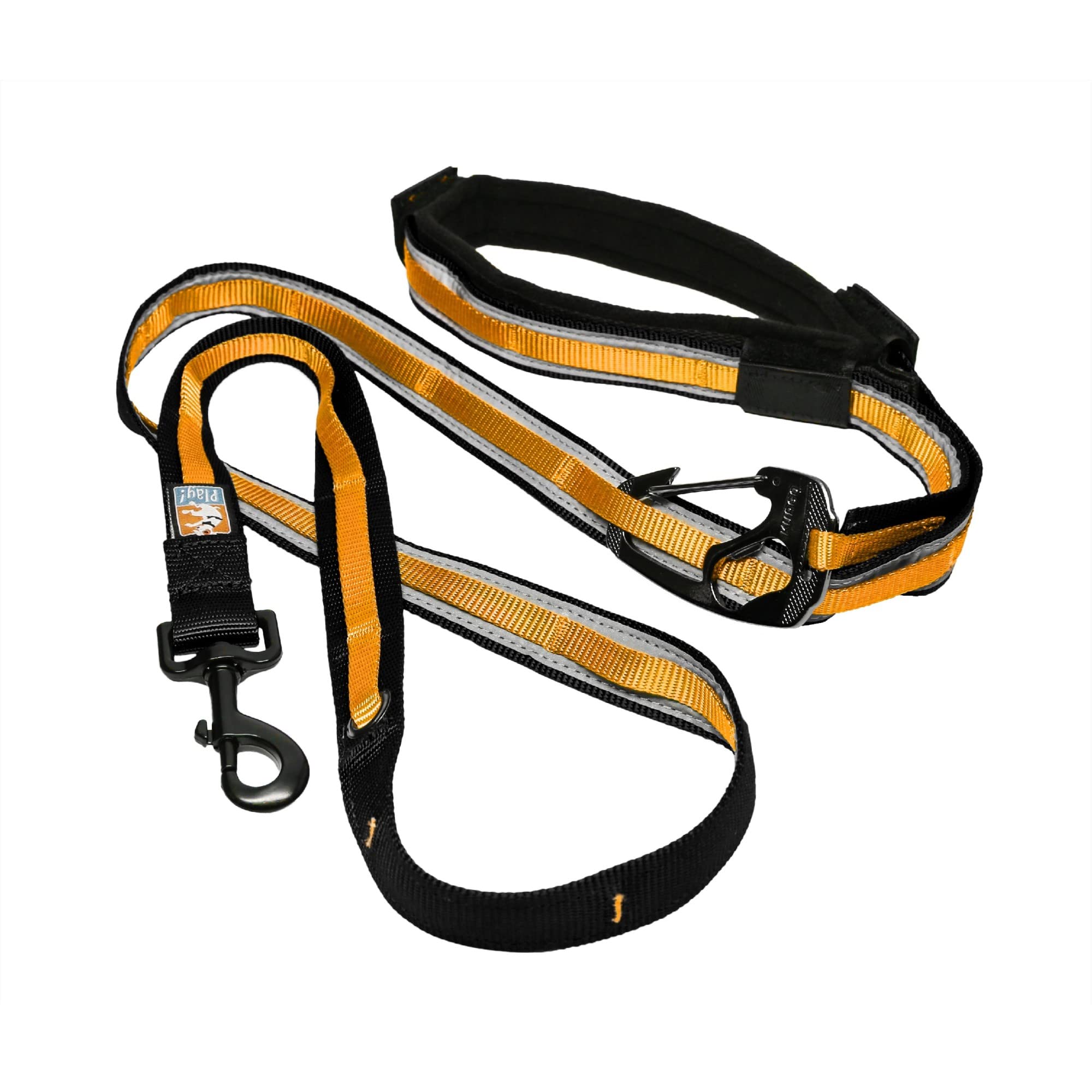 Kurgo Black 2.0 Quantum Dog Leash, 6 Ft.