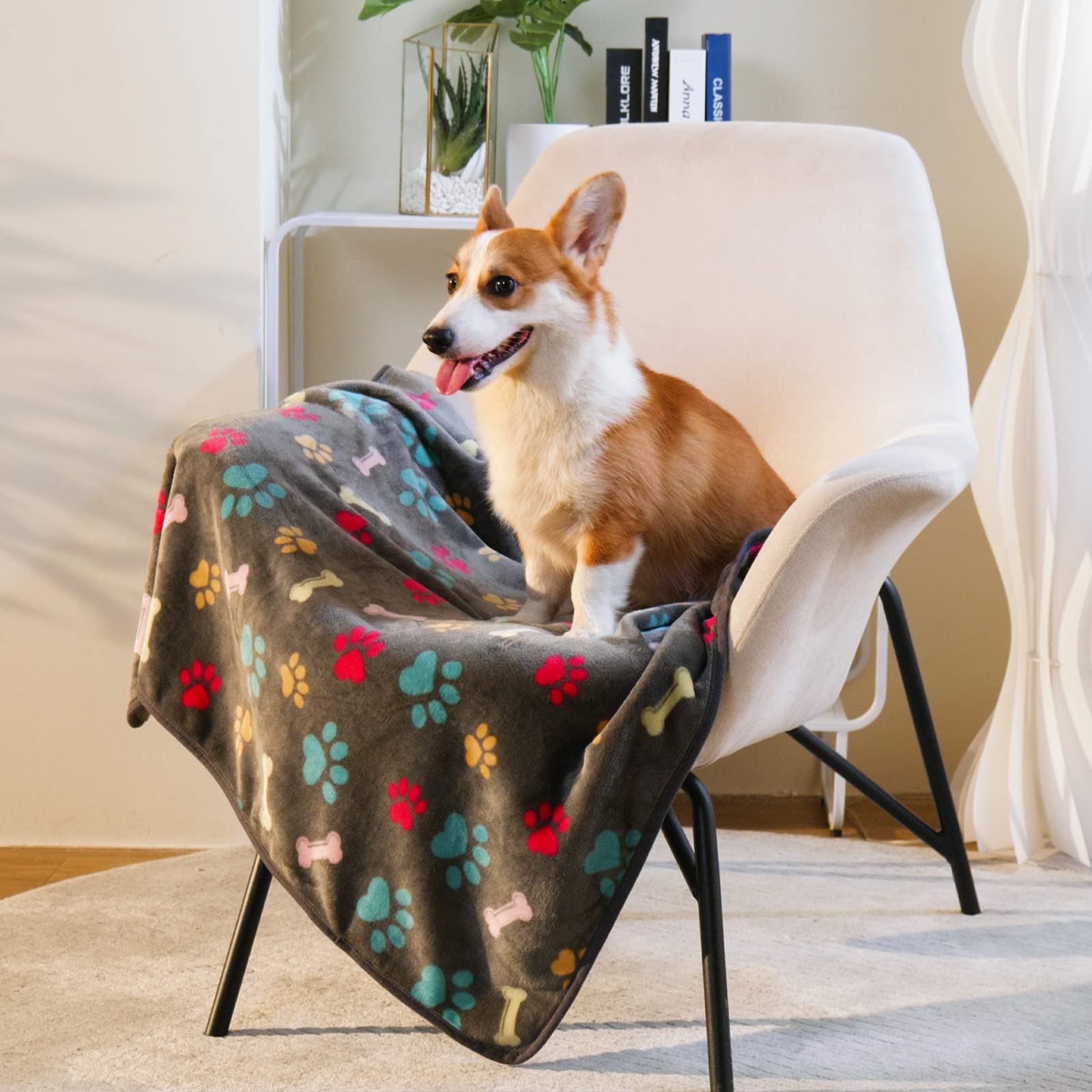 Luciphia 1 Pack 3 Blankets Fluffy Premium Fleece Pet Blanket Flannel Paw Bone Printed Throw for Dog Cat(Small 23x16, Grey)