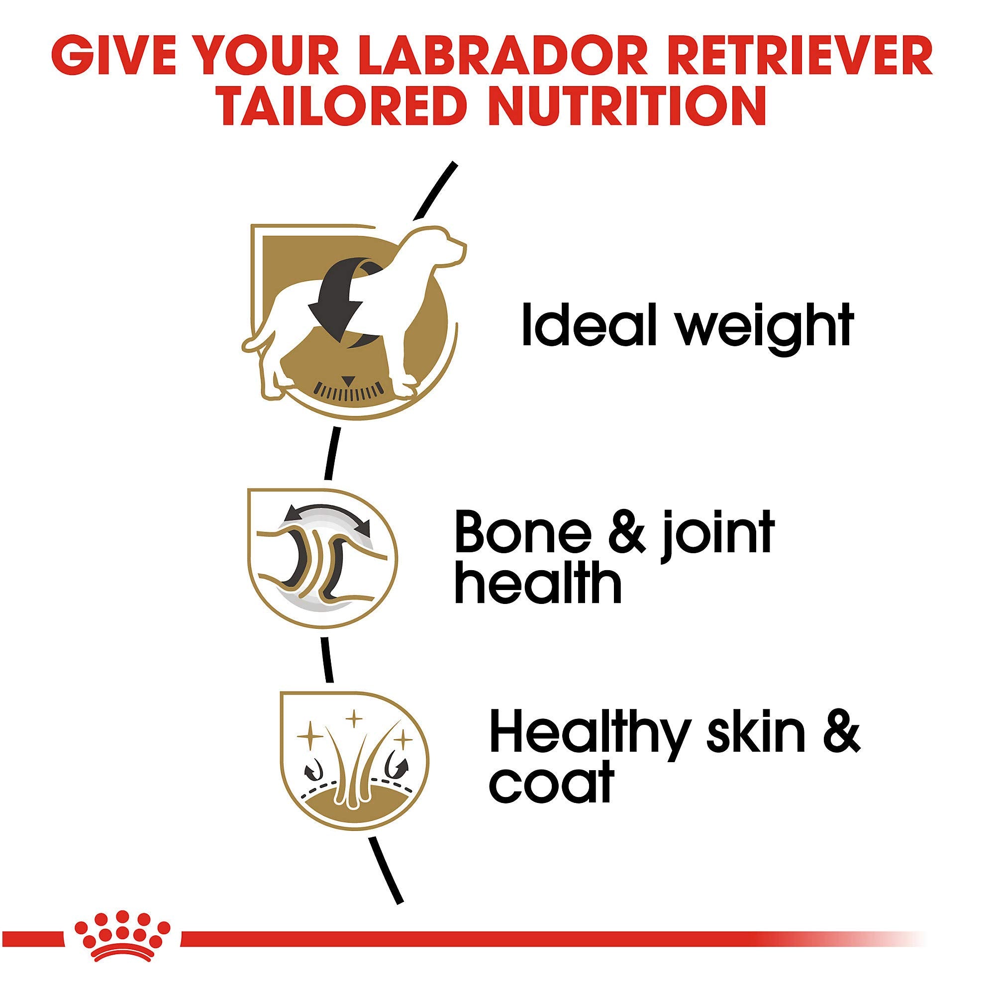 Royal Canin Breed Health Nutrition Labrador Retriever Adult Dry Dog Food, 17 lb Bag