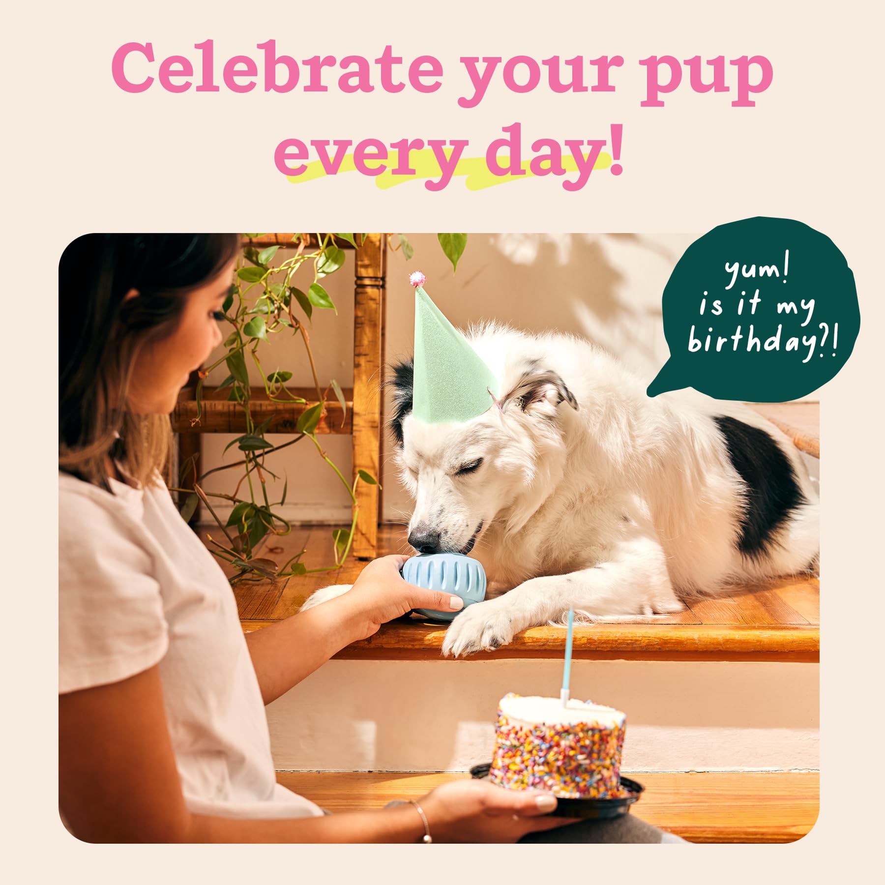 WOOF Party Pupsicle - Long-Lasting Interactive Dog Toys for Boredom - Low-Mess Design - Birthday Gifts for Dogs - XL Dog Toys -