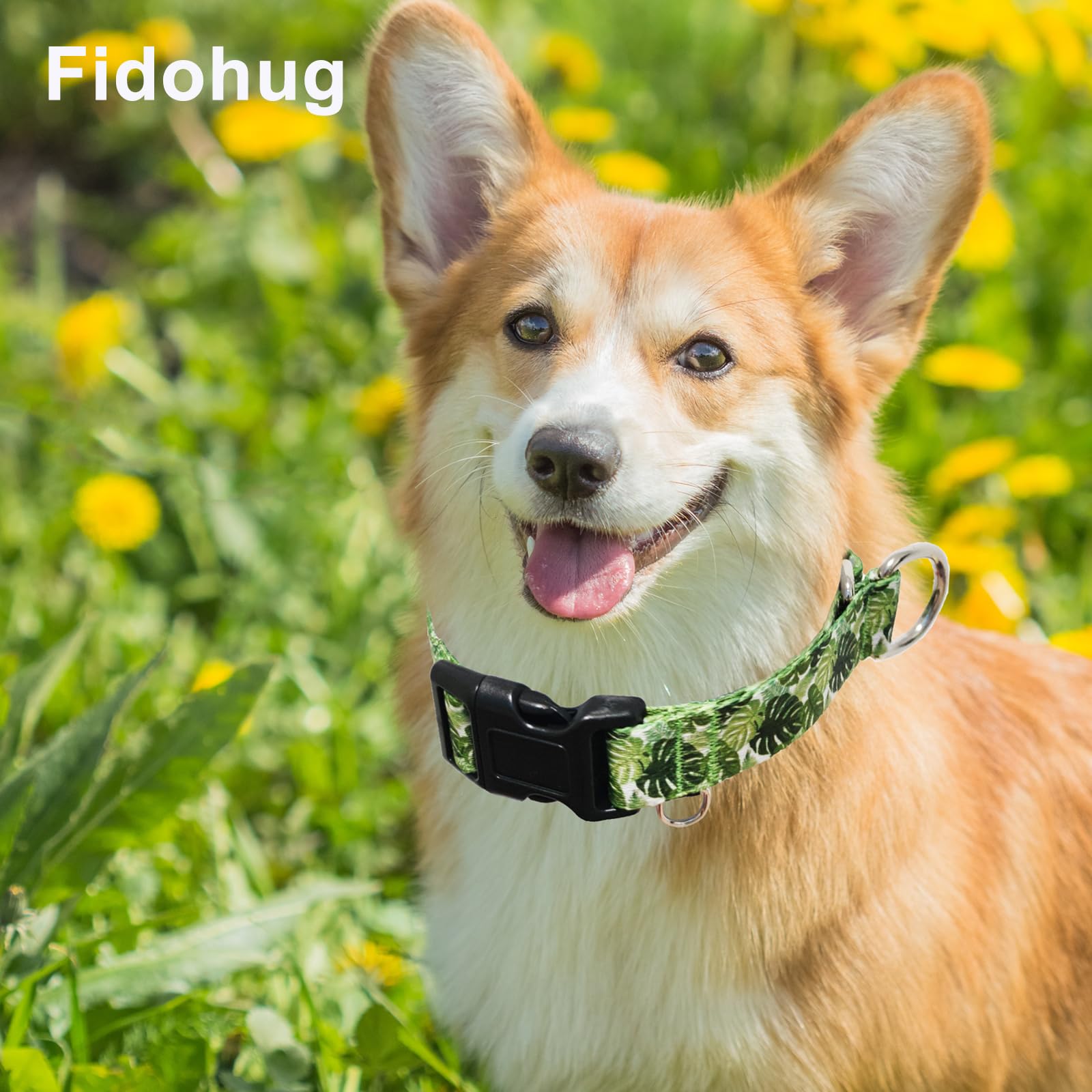 Fidohug Martingale Collar For Dogs With Buckle Adjustable Nylon Tropical Slip No Pull Anti Escape Training Dog Collars (Palm Lea
