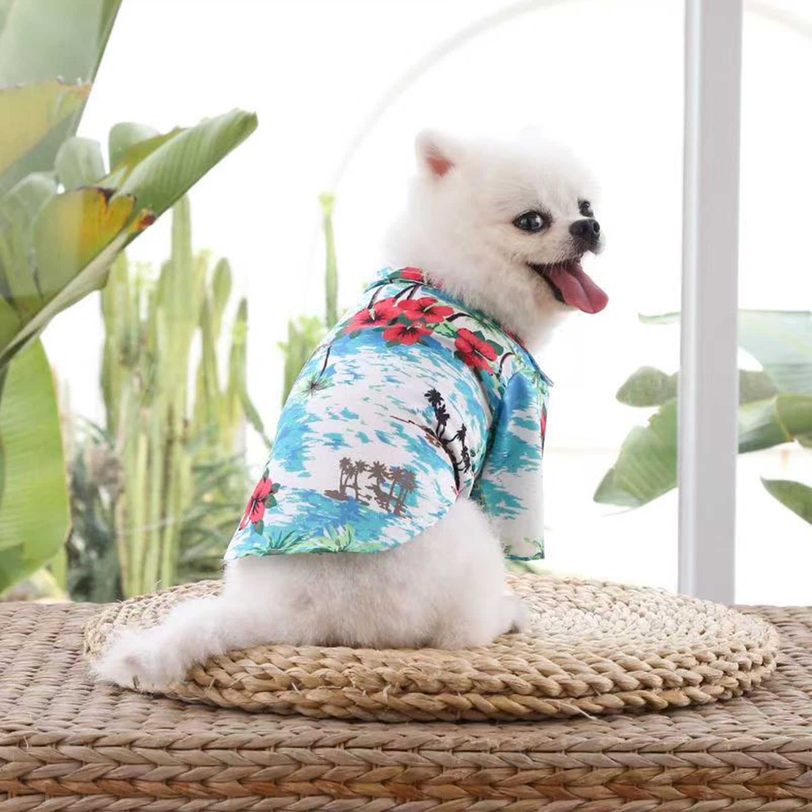 Hawaiian Shirt For Small Dogs & Cats - Lightweight Breathable Pet Tshirt With Vibrant Fade-Resistant Colors For Small Dog Cat Da