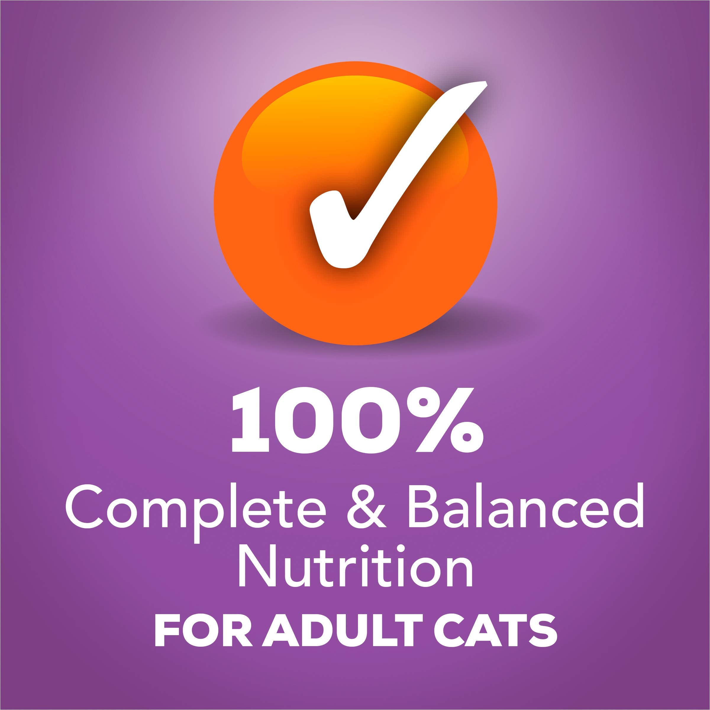 Purina Friskies Wet Cat Food Pate, Tasty Treasures Turkey Chicken Liver, Canned Cat Food Wet, Pack of 24 5.5 oz Cans