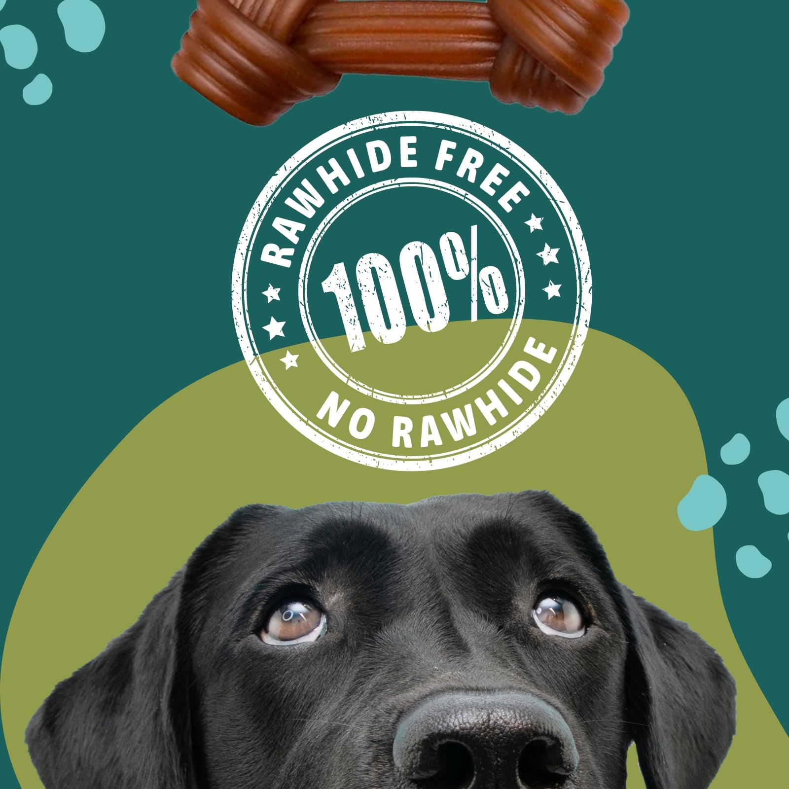 Gnawturals Rawhide Free Dog Chews | Ribbed Bones | for Large - Extra Large Dogs | Pumpkin, Psyllium Husk and Chicory Root for Ea