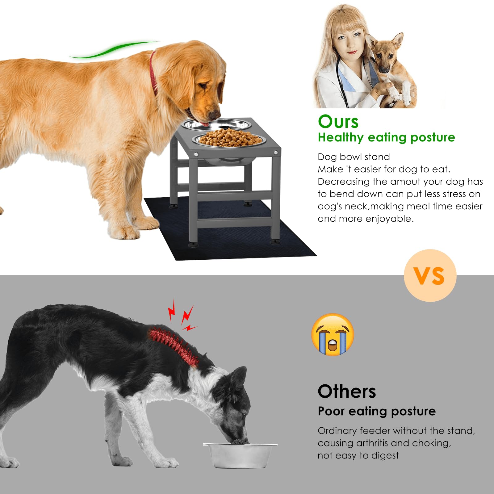 Adengl Metal Raised Dog Bowl For Large & Medium Bread, 10'' Tall Elevate Dog Feeder Stand With 2 Stainless Steel 42Oz Bowls & 16