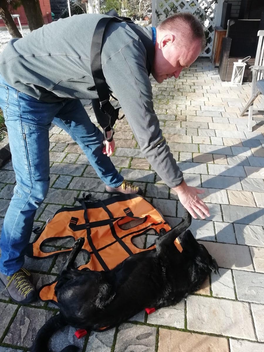 Singing Rock Laika Dog Harness