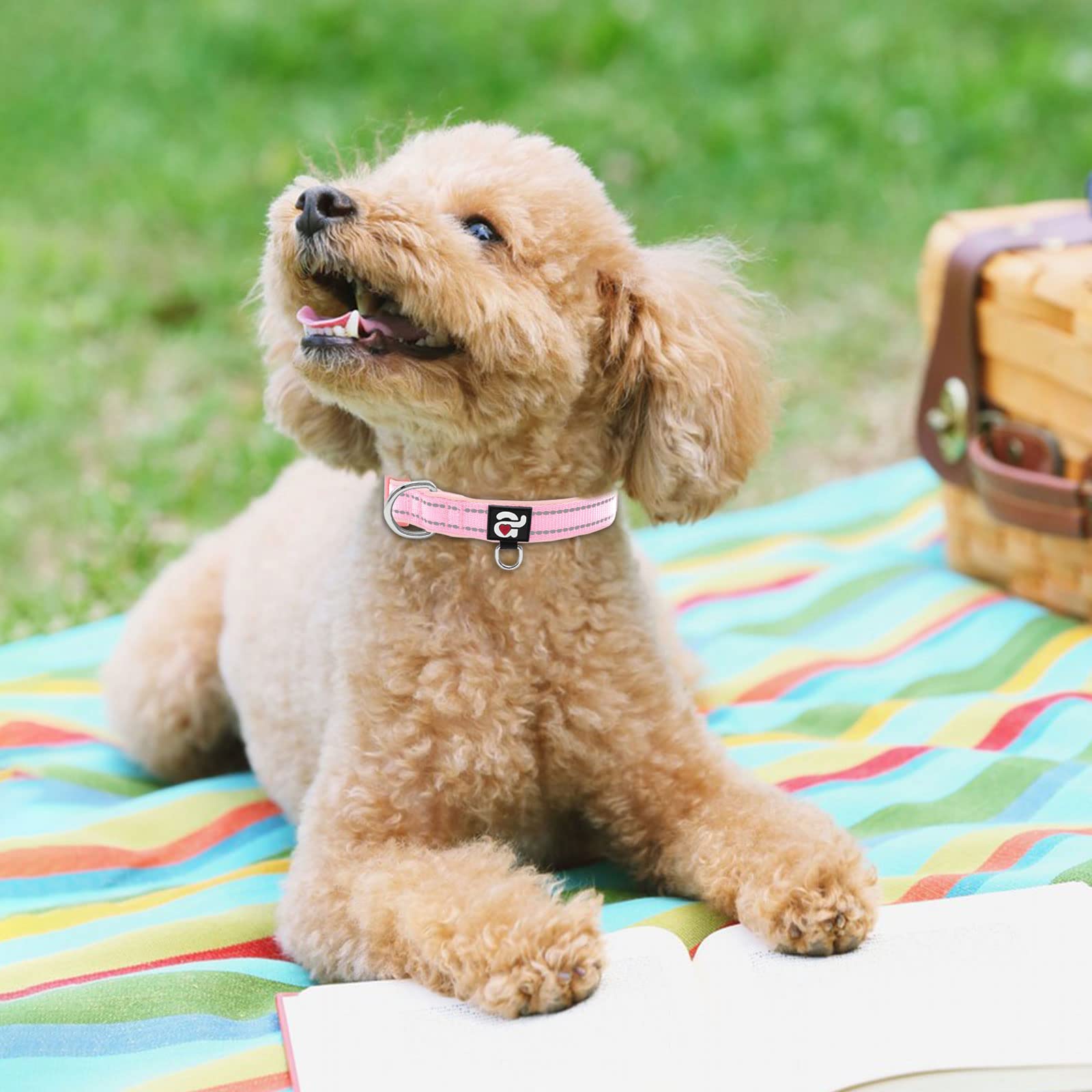 Azuza Reflective Dog Collar,Soft Neoprene Padded Pet Collar With Id Tag Ring,Adjustable For Puppy And Small Dogs,Pink,Xs