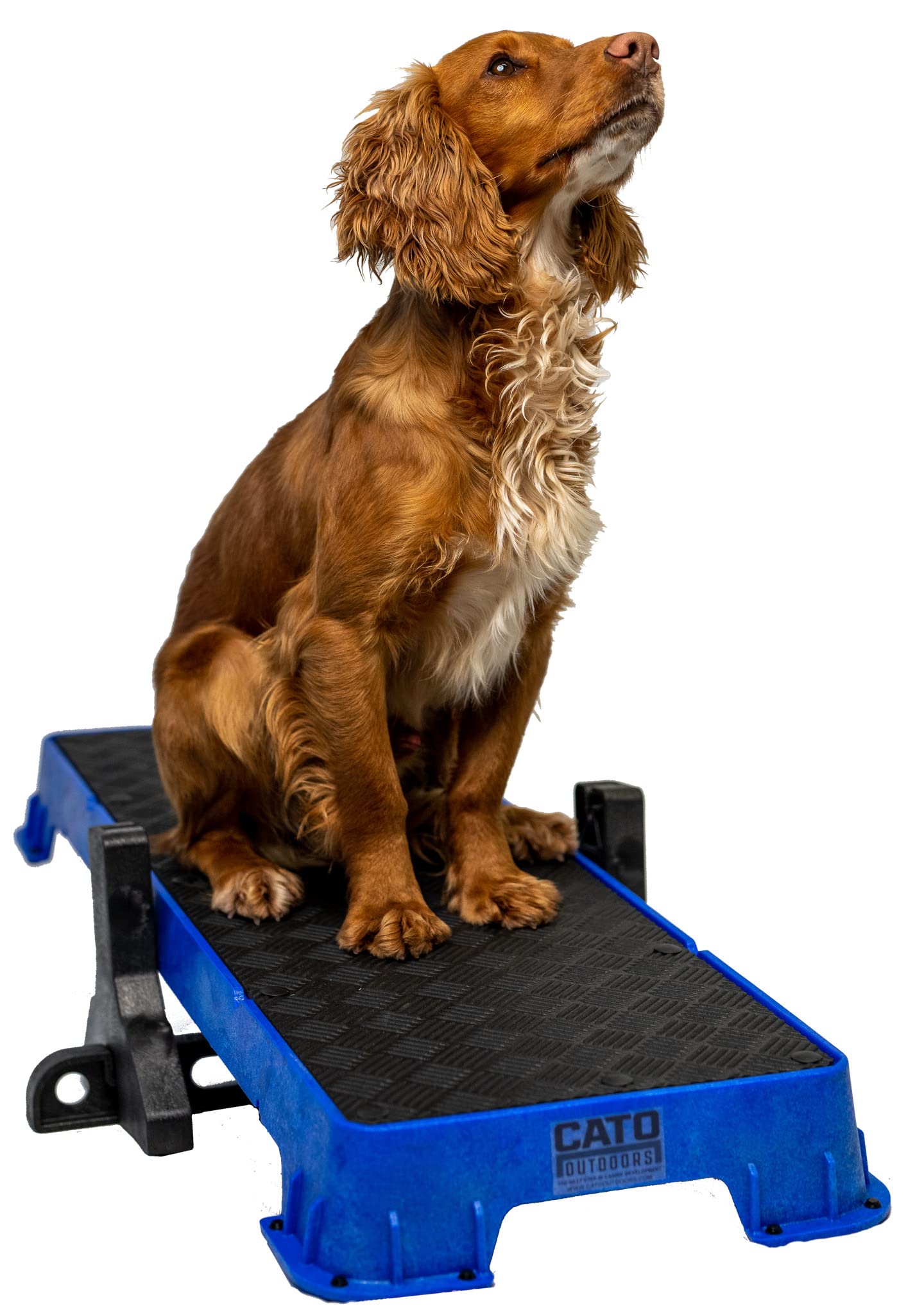 Cato Board Xl - Dog Platform (Blue, With Tilt Stand)