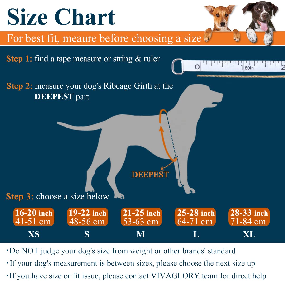 Vivaglory Lightweight Dog Life Jacket, Pet Life Preserver Life Vest Skin-Friendly Neoprene For Small Dogs With D-Ring And Quick