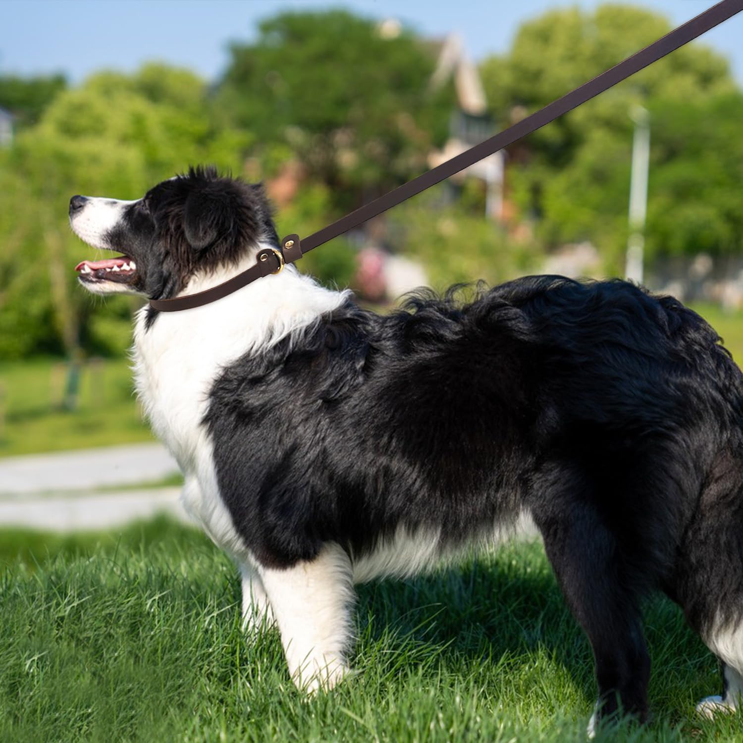 Guiding Star Brown Leather Slip Lead - Heavy Duty Dog Training Leash For Small Medium Dogs, (6 Ft*1/2In)