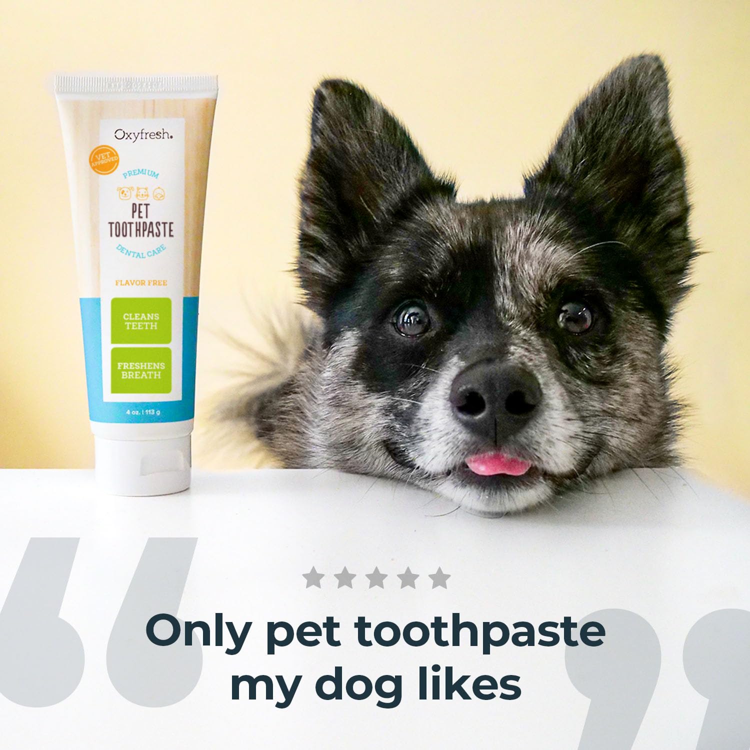 Oxyfresh Premium Dog Toothpaste - Best Dog Teeth Cleaning & Dog Plaque and Tartar Fighter - Safe for Cat Toothpaste Too - Vet Fo
