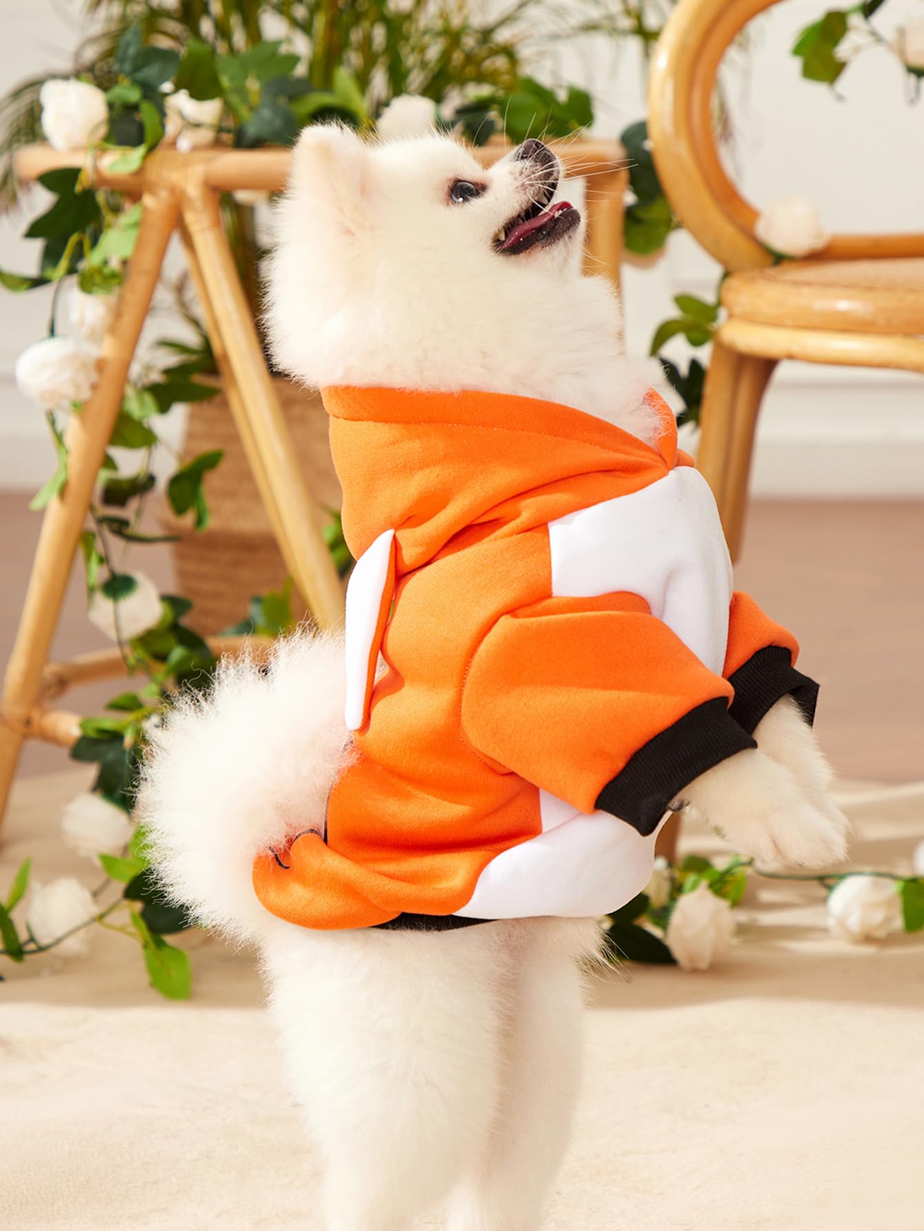 Qwinee Dog Hoodies Fox Design Cat Dog Clothes Warm Winter Puppy Clothes Chihuahua Outfit Pet Hoodie For Small Medium Dogs Cats K