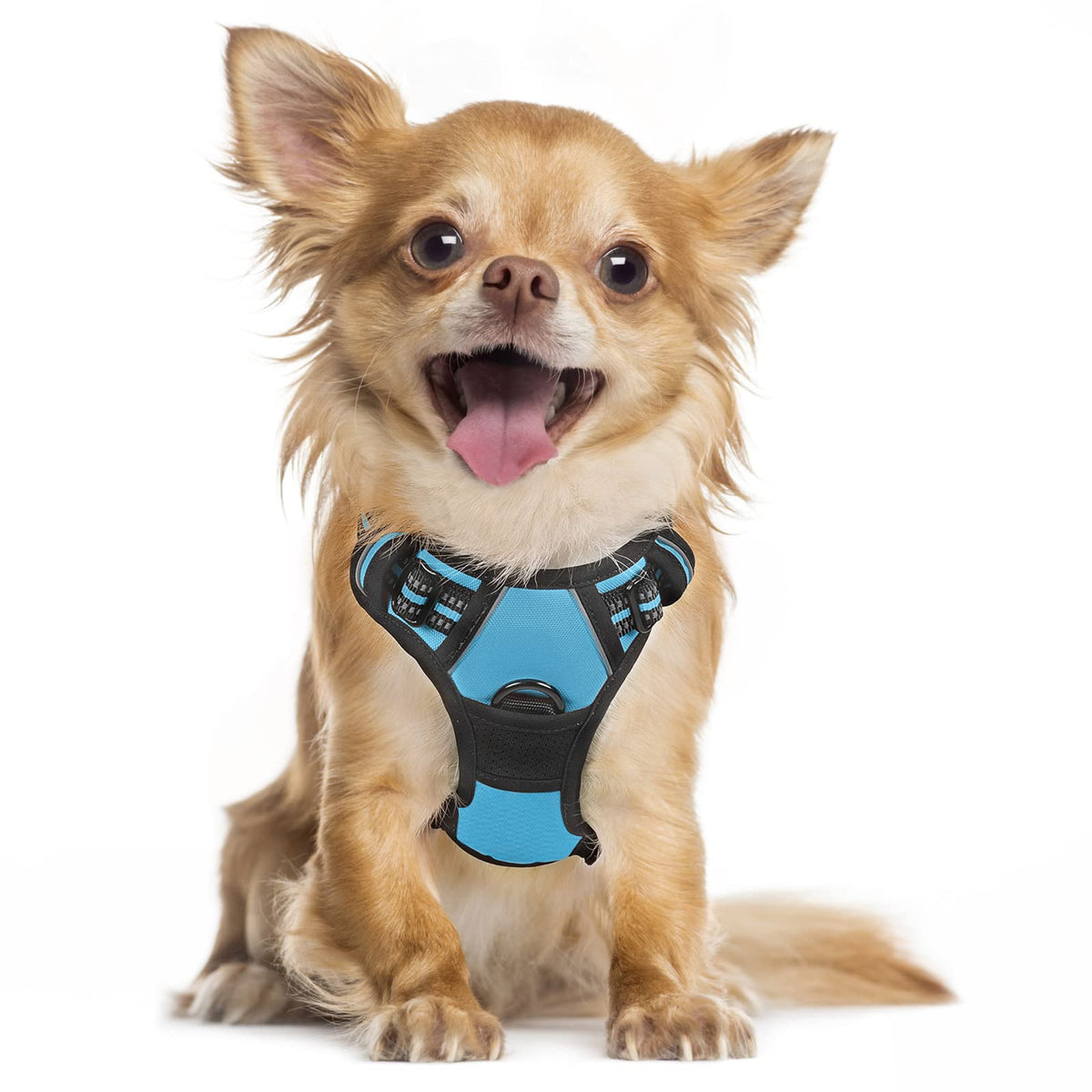 Rabbitgoo Dog Harness, No-Pull Pet Harness With 2 Leash Clips, Adjustable Soft Padded Dog Vest, Reflective No-Choke Pet Oxford Vest With Easy Control Handle For Small Dogs, Blue, S