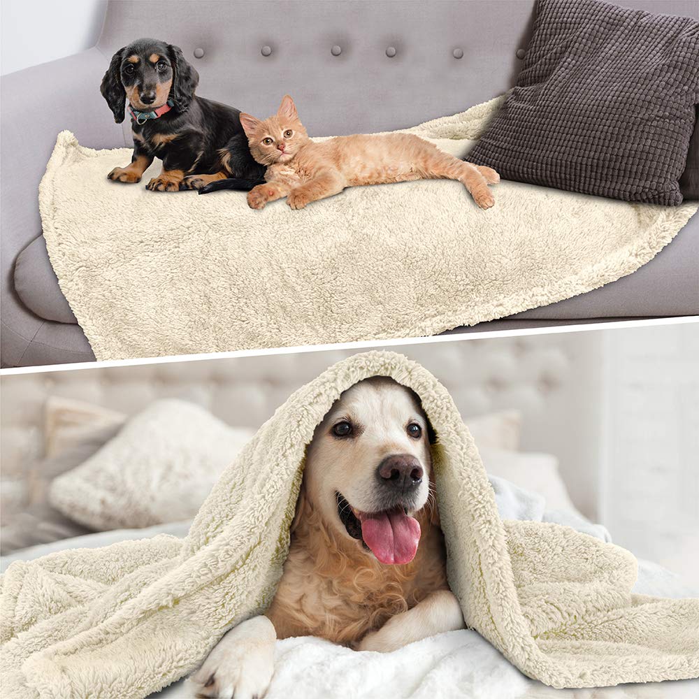 Petami Fluffy Dog Blanket For Small Medium Dog, Pet Blanket For Bed, Sherpa Furniture Couch Cover Protector, Soft Fleece Cat Sofa Throw, Shag Plush Reversible Washable For Puppy Kitten, Beige 29X40