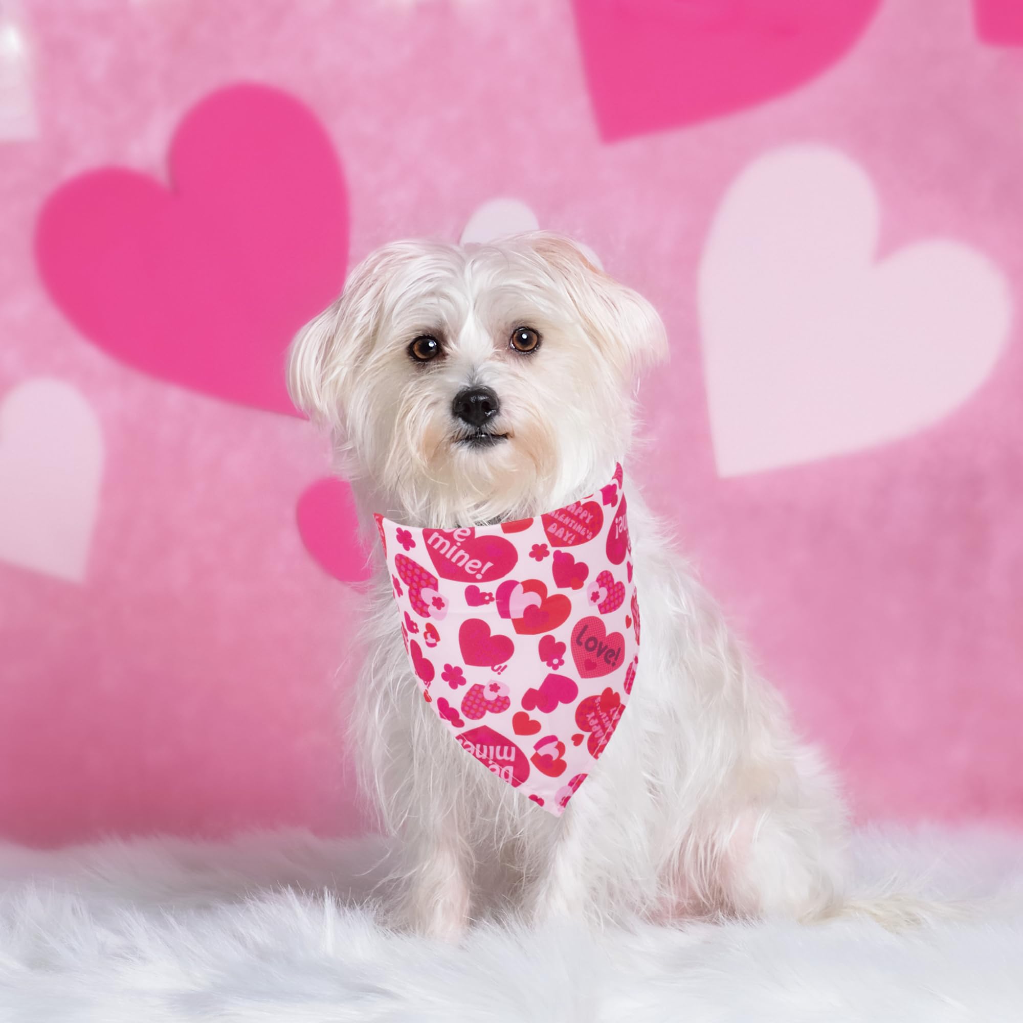 ADOGGYGO 4 Pack Valentine Dog Bandana Triangle Pet Scarf Red Pink Heart Pattern Valentine Bandanas for Medium Large Dogs (Large)