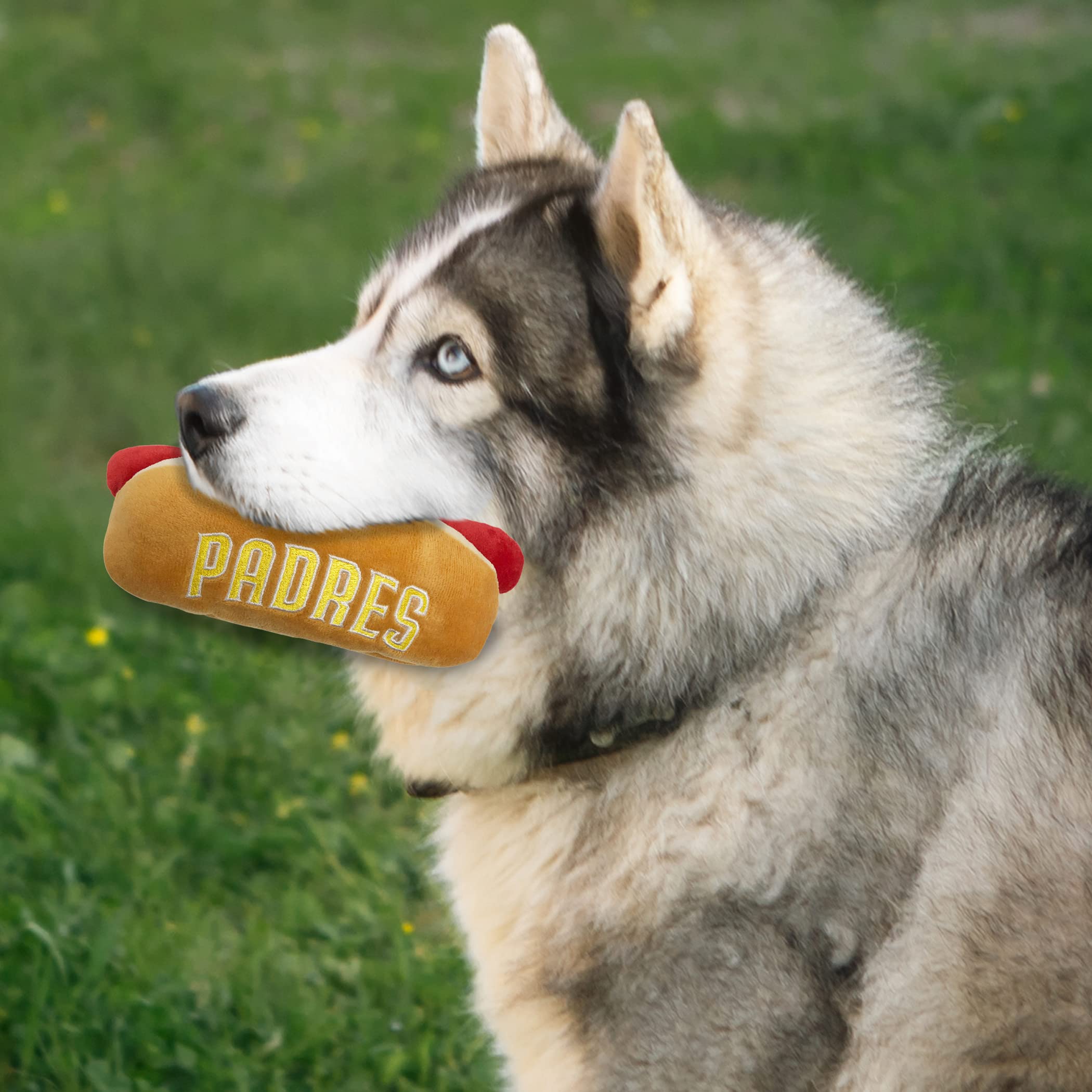 Mlb San Diego Padres Plush Dog Toys - Stadium Theme Snacks - Cutest Plush Hot-Dog Toy For Dogs & Cats With Inner Squeaker & Prem