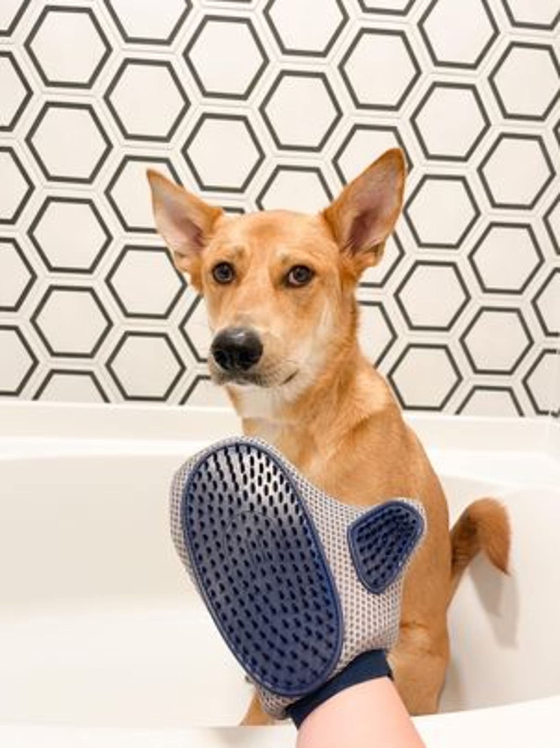 Magic Coat Professional Series Love Glove Dog Grooming Mitt