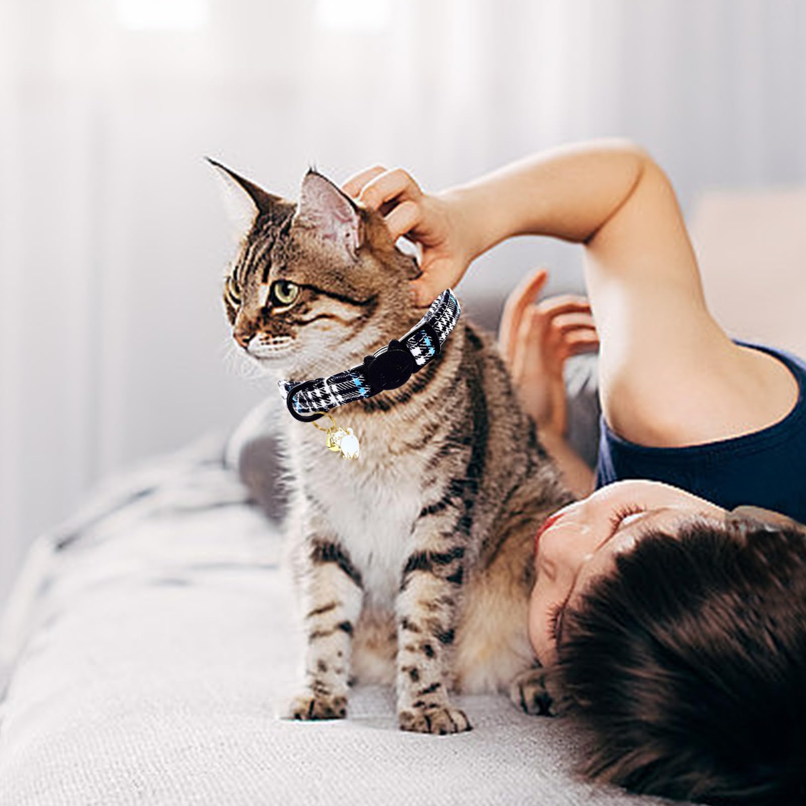 Lionheart Glory Cat Collar Breakaway With Bell & Pendant Blue Kitten Collars Soft Adjustable Safety 2 Pack Kittens For Boy Cats