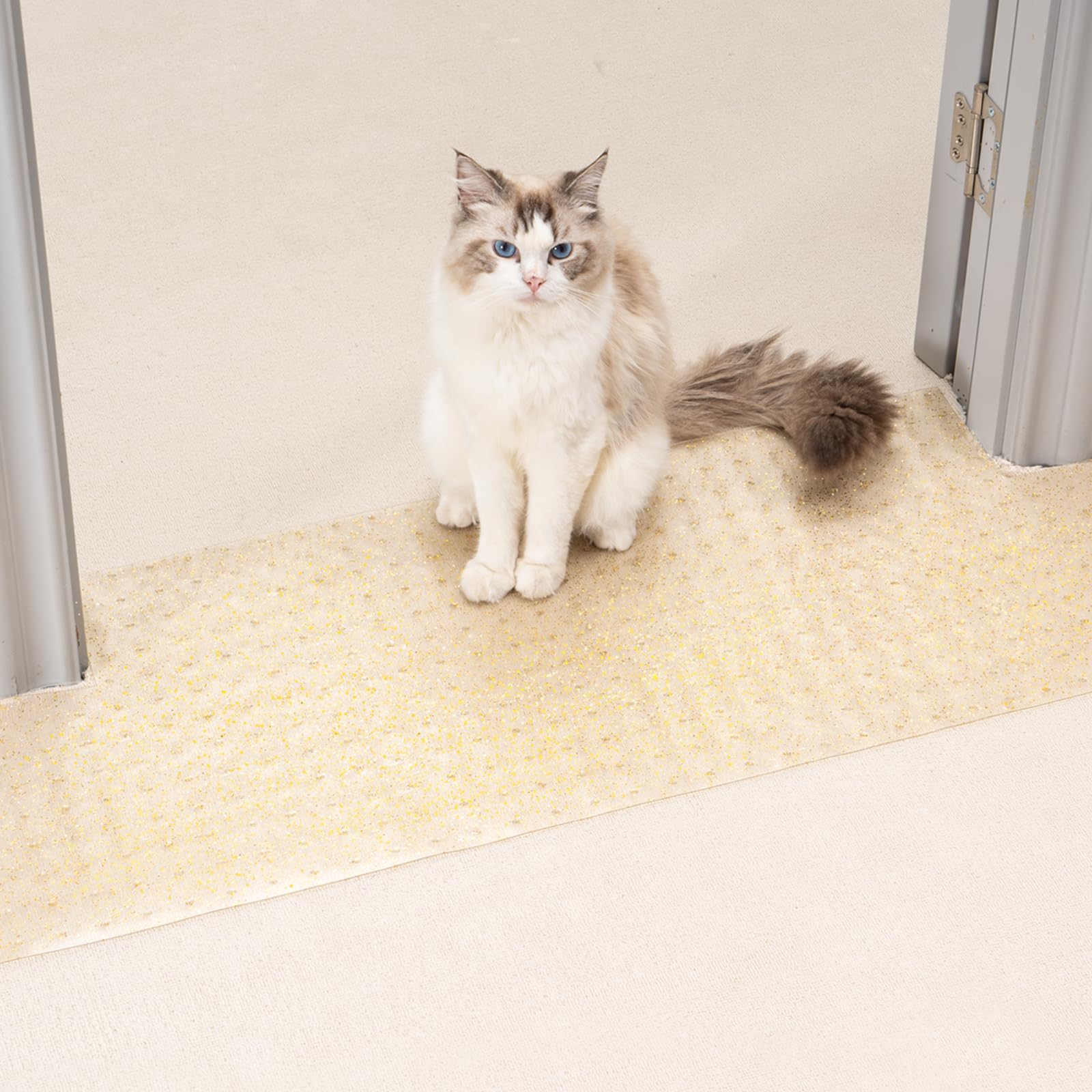 Uross Carpet Protector For Pets - Cat Carpet Protector For Doorway, Anti Scratch Under Door Cat Scratch Protector Mat, Easy To C