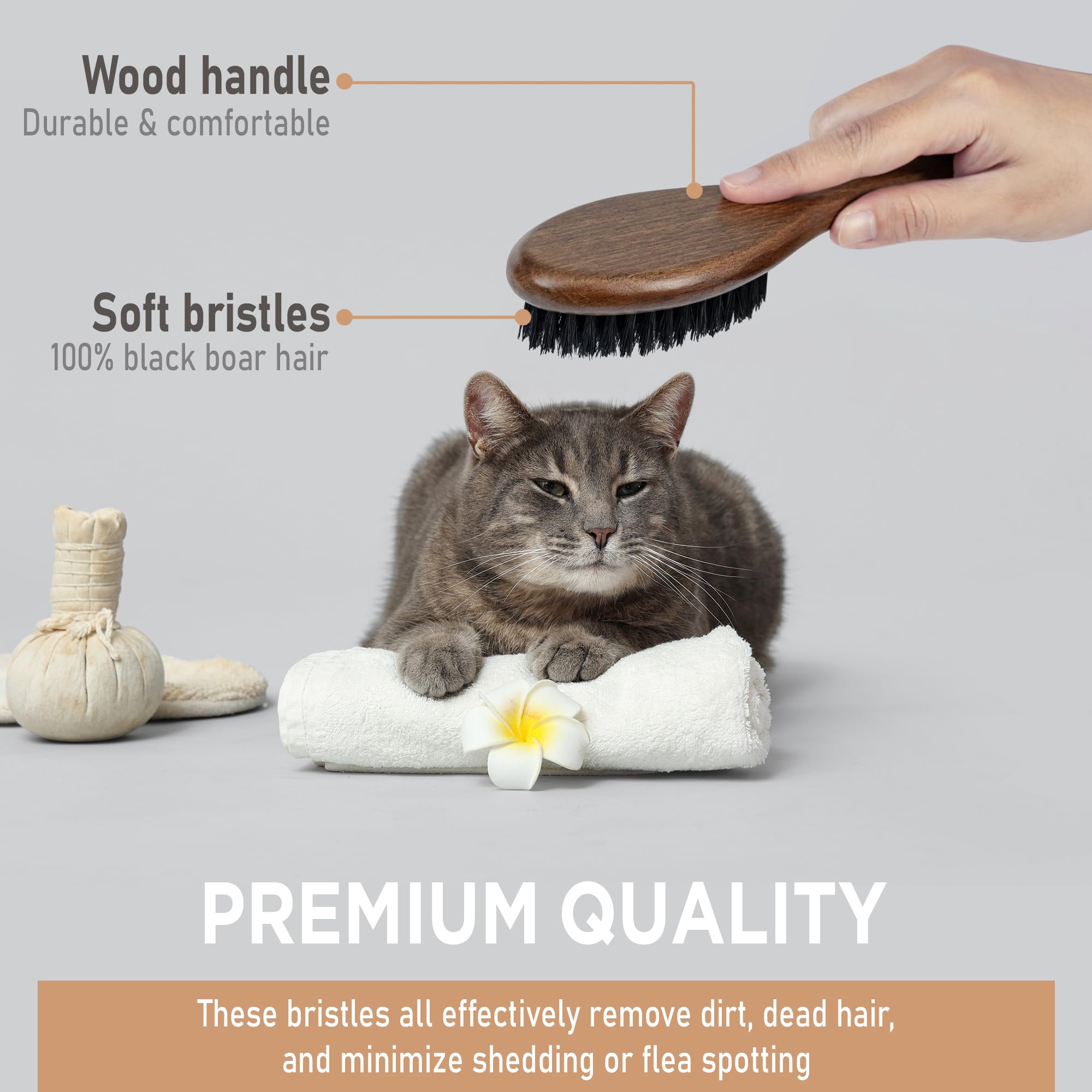 Takavu Boar Bristle Cat Hair Brush, Gentle Grooming Brush With Natural Bristles And Wooden Handle For Sensitive Skin, Pet Cleani