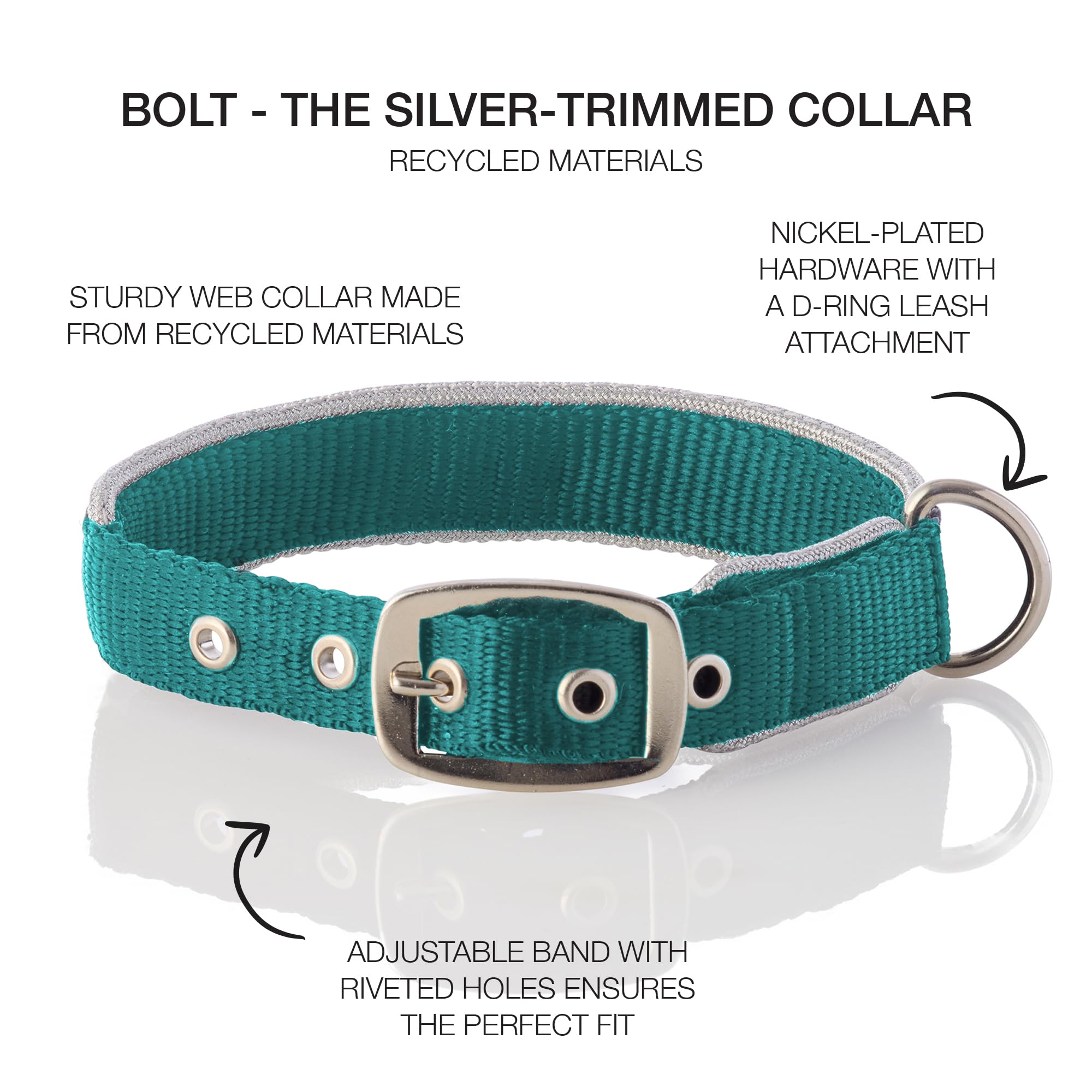 Pet Passion Adjustable Silver Trimmed Dog Collar For Pets Small, Medium And Large Dogs, Silver/Turquoise, Large