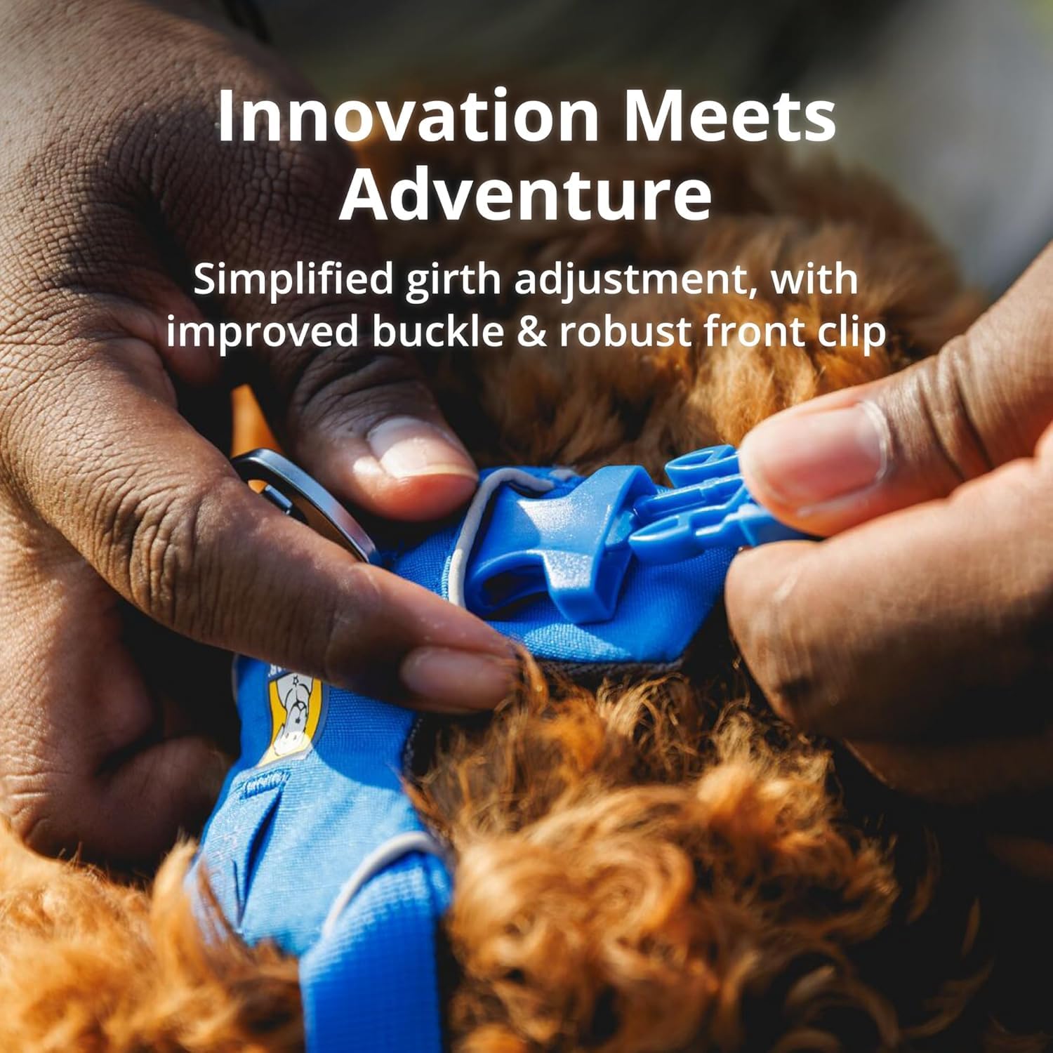 Ruffwear, Front Range Dog Harness, Reflective And Padded, No Pull Harness For Training And Everyday, Basalt Gray, Medium