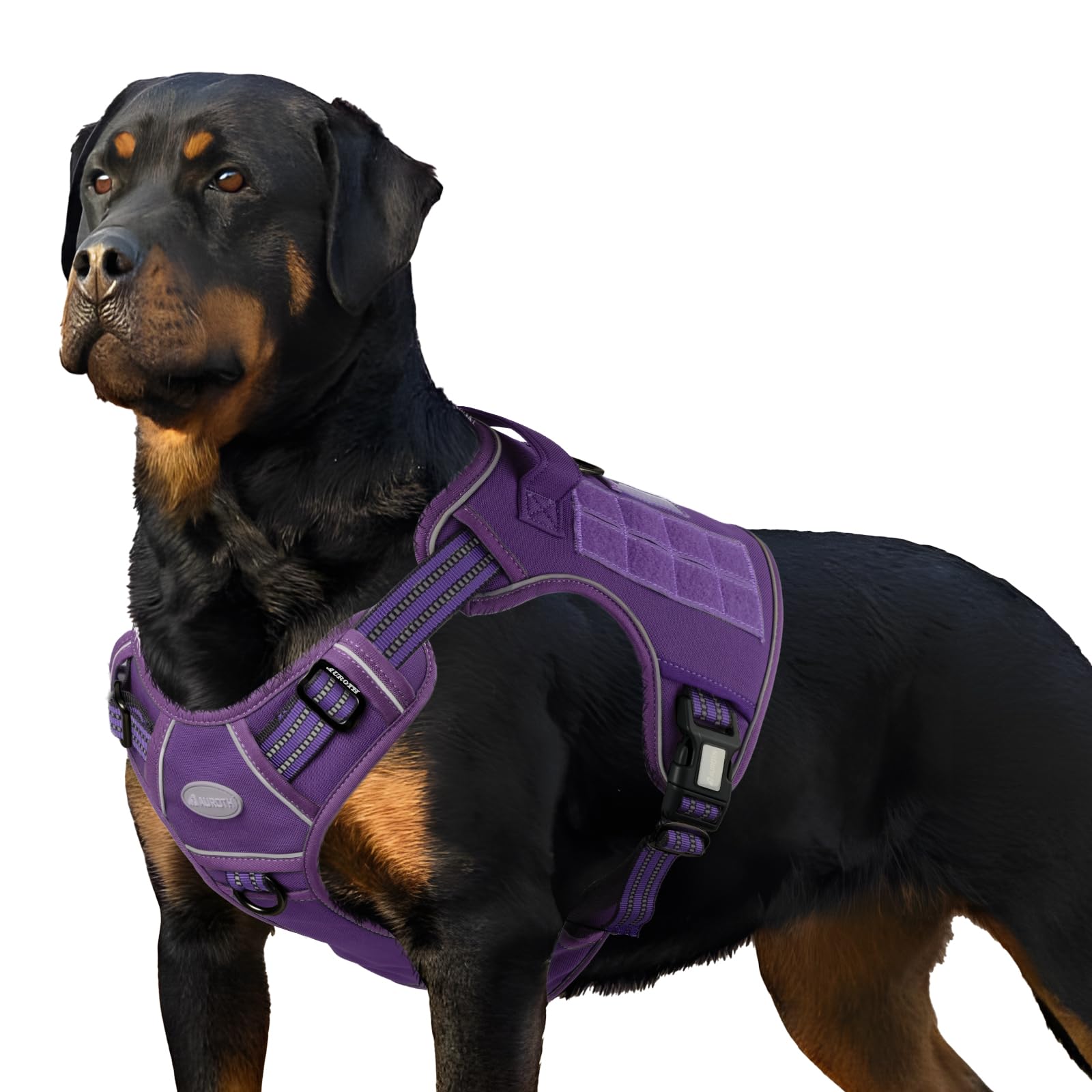 AUROTH Tactical Dog Harness for Large Dogs, No Pull, Adjustable, Reflective, Nylon, Size L, Purple