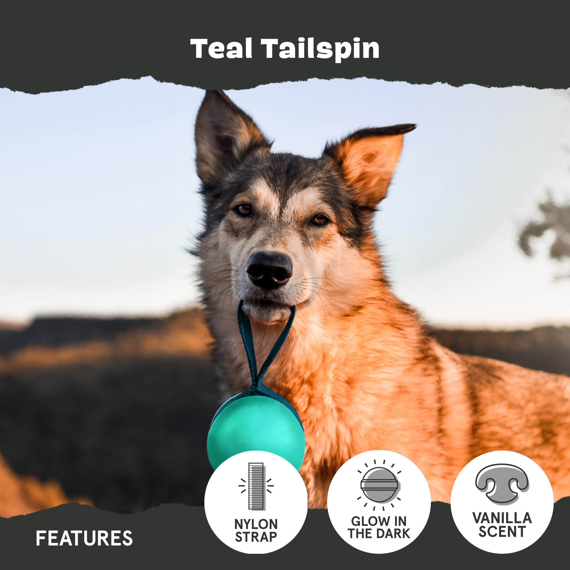 Barkbox Super Chewer Rope Dog Toy - Large, Rubber, Tailspin - Model 211072 for Aggressive Chewers
