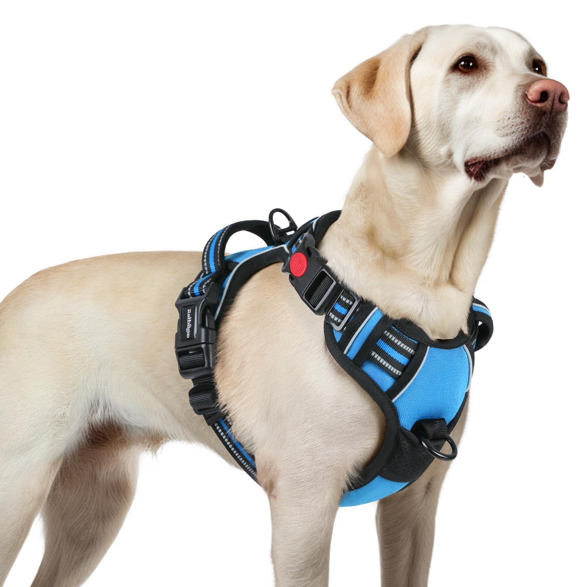 Rabbitgoo Dog Harness For Large, No Pull Pet Harness With 3 Buckles, Adjustable Soft Padded Pooch Vest With Instant Control Handle, Easy Walking Reflective Pet Vest For Large Dogs, Sky Blue, L