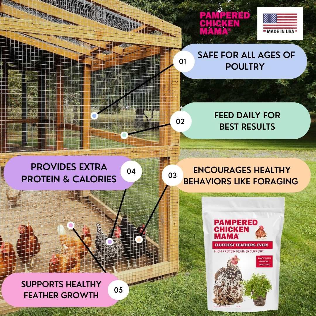 Pampered Chicken Mama Backyard Chicken Supplement Treat: Fluffiest Feathers Ever Backyard Chicken Feed and Supplies for Healthy