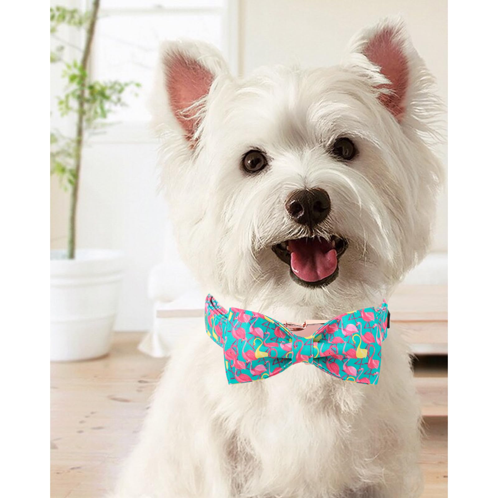 Unique Style Paws Summer Dog Collar With Bow, Flamingo Bow Tie Dog Collar,Cute Puppy Collar Green Dog Bow For Girl,Boy Dogs,S,10