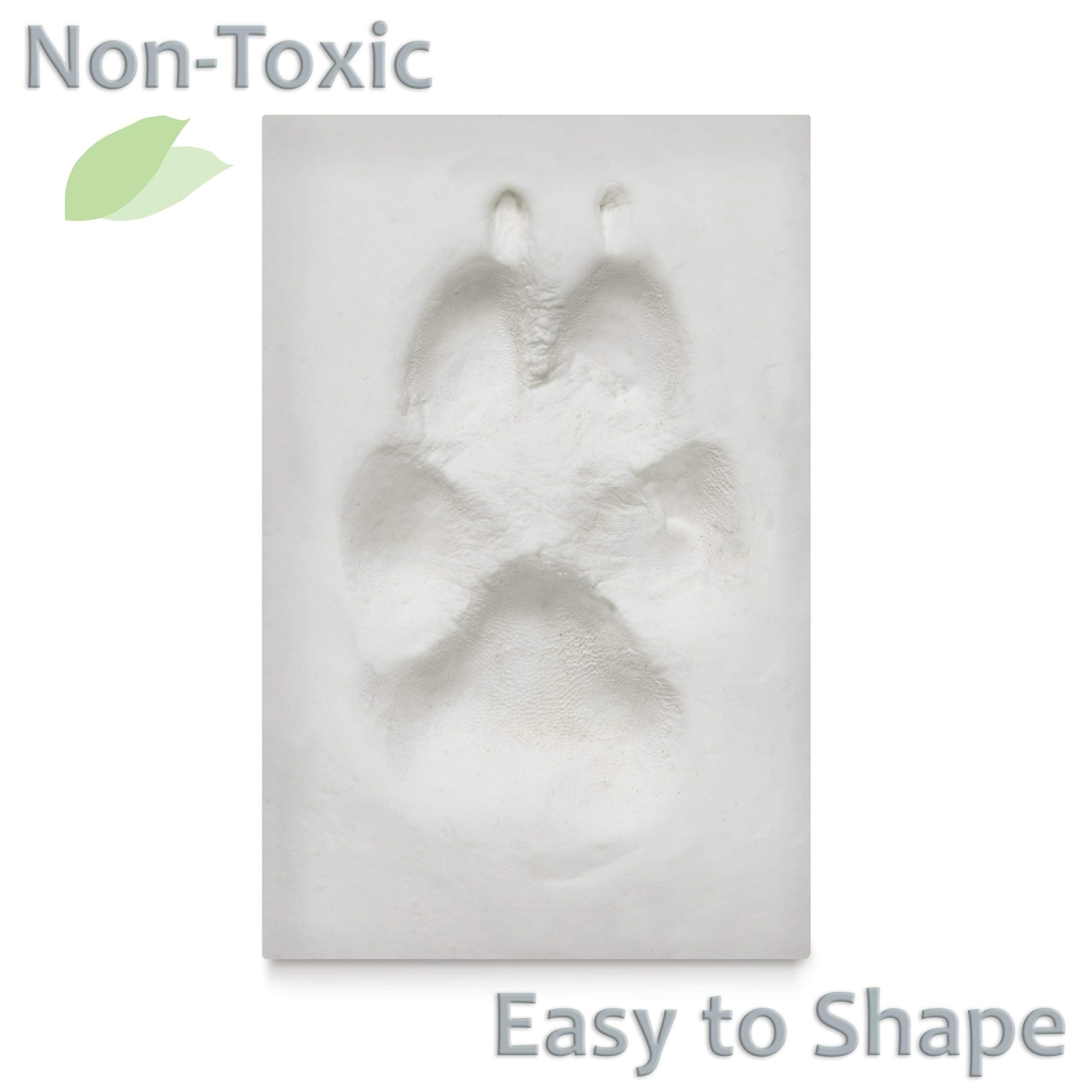 Better World Pets Paw Print + Photo Keepsake Frame Holds 4 X 6 Inch Picture - Memorial Clay Imprint Kit - For Dogs And Cats - Pe