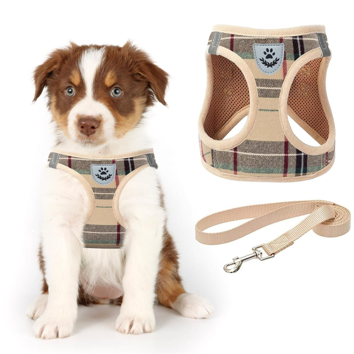 Kooltail Dog Harness For Small Medium Dogs,Dog Harness And Leash Set, Step In No Pull Soft Mesh Padded Adjustable And Reflective