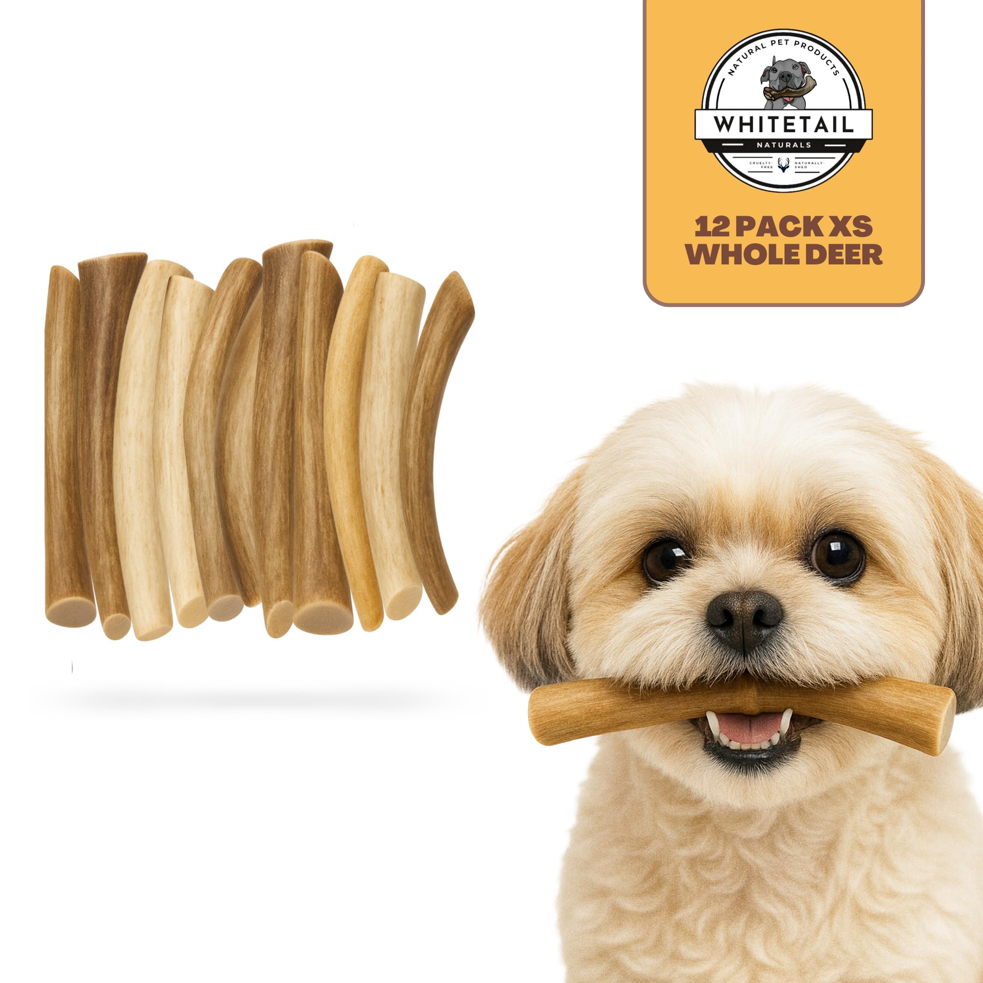 WhiteTail Naturals - Deer Antlers for Extra Small Dogs (12 Pack) Natural Dog Antler Chews for Puppies & Small Aggressive Chewers