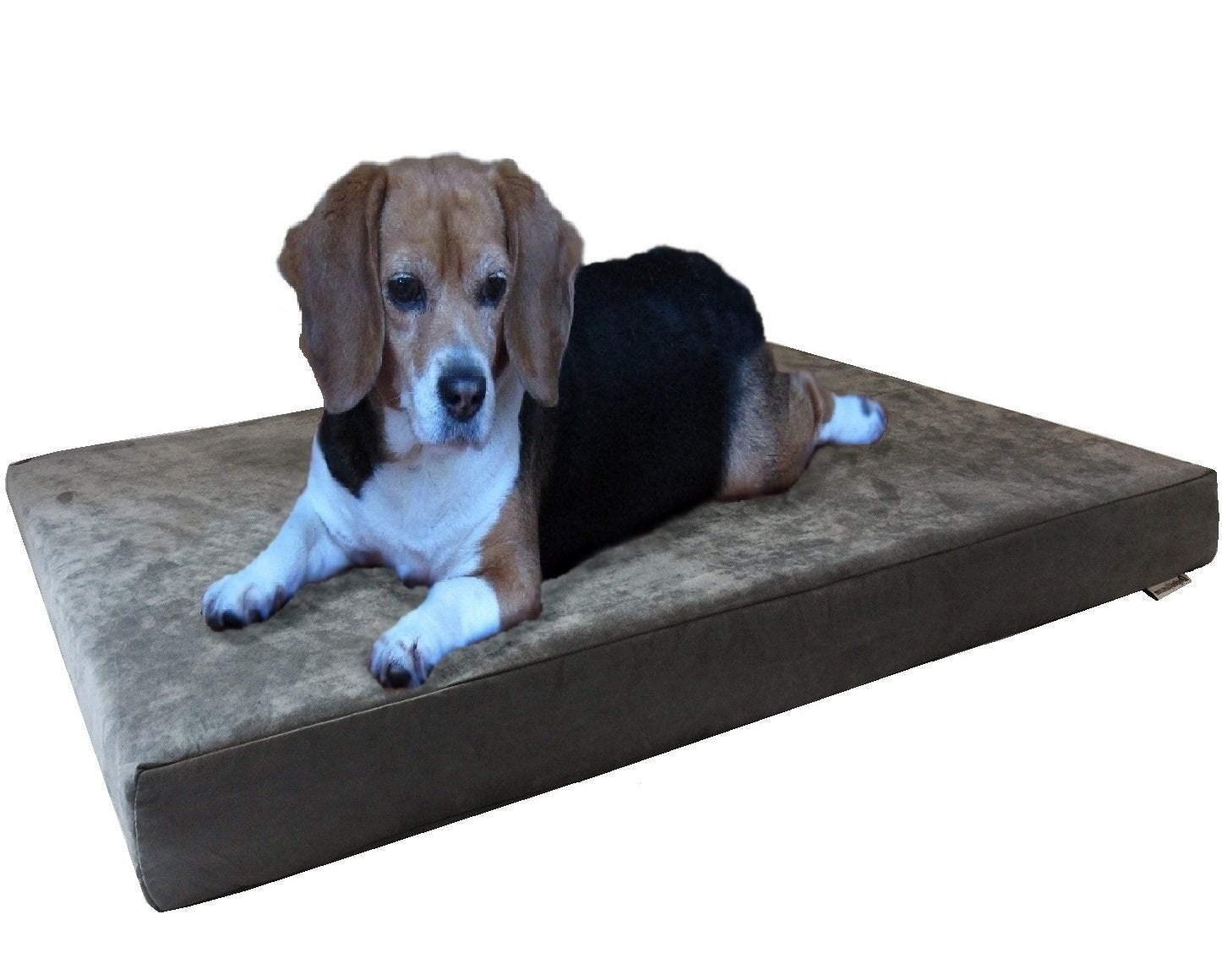 Dogbed4less Orthopedic Gel Infused Memory Foam Dog Bed with Washable Suede Gray Cover and Waterproof Internal Liner, Medium Larg