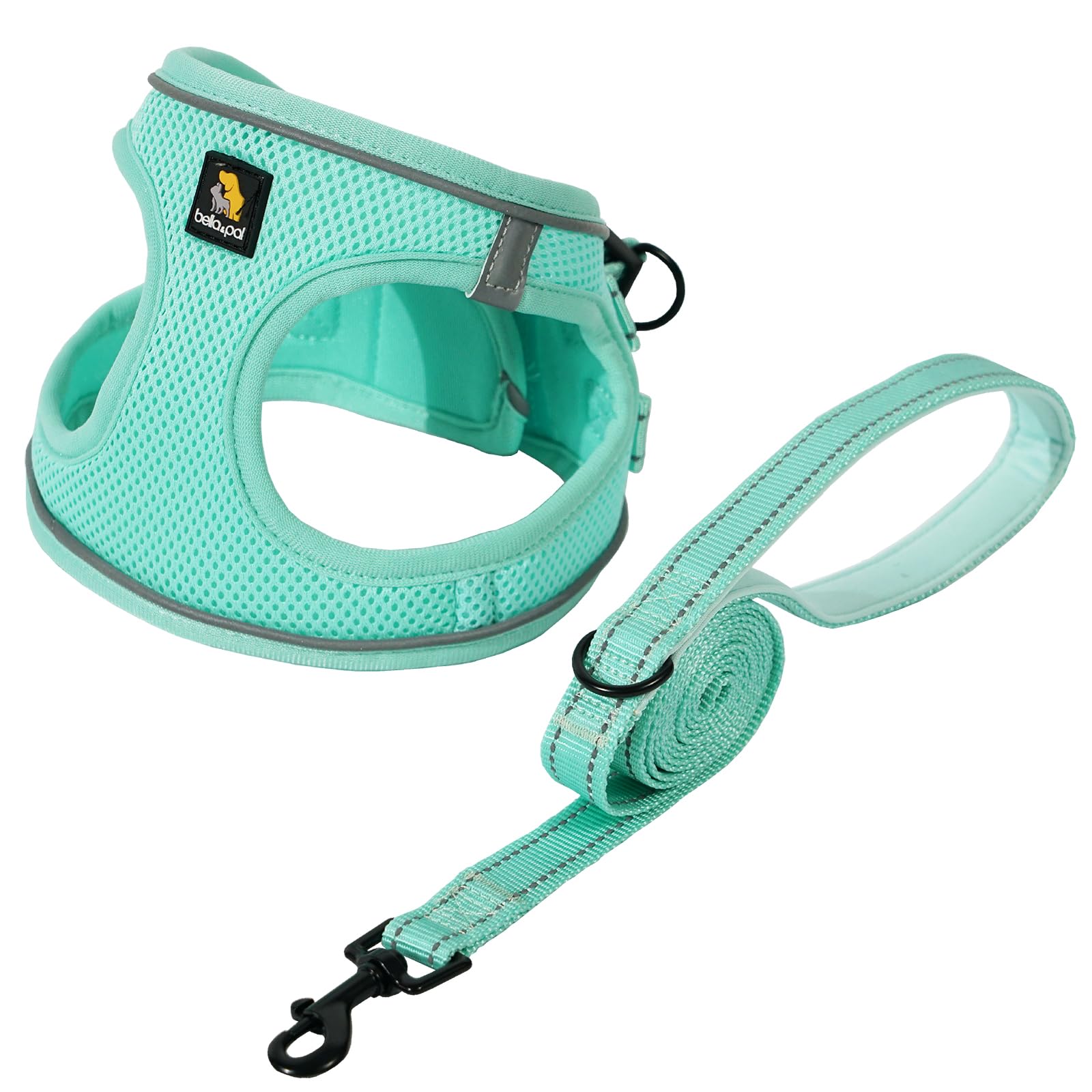 Bella & Pal Small Dog Harness With Leash Set, Light Green, Size S, No Pull, Reflective Strips, Step-In Design