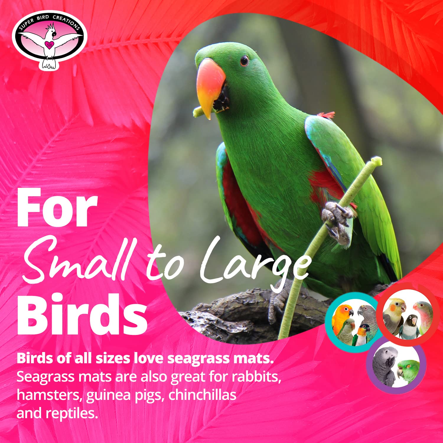 Super Bird Creations Sb50008 Seagrass Mat For Cage Decor, Pet Enrichment And Boredom Relief - Versatile Toy-Making Base - Ideal