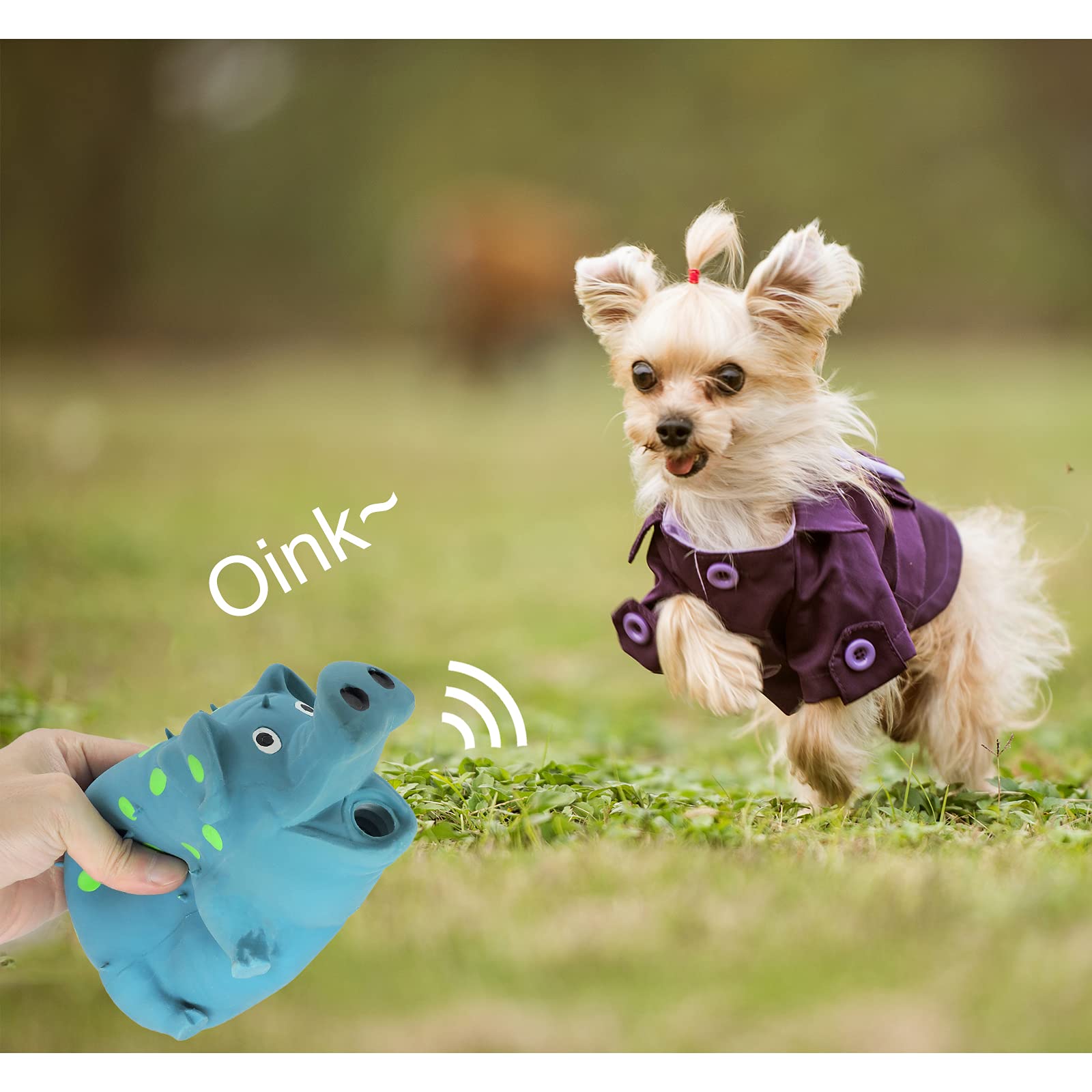 Andiker Dog Squeaky Toy, Durable 8" Blue Latex Chew Toy with Grunting Sound for Medium Dogs, Model CJZ001