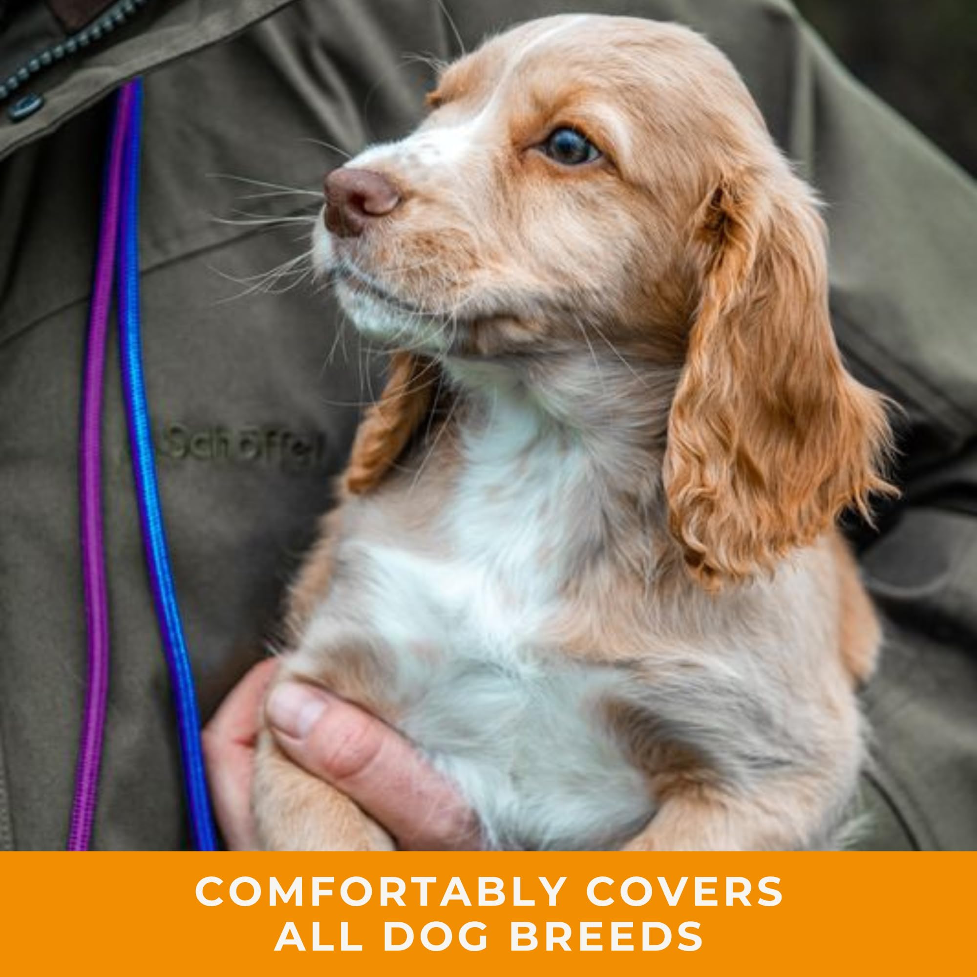 Dog & Field Signature Slip Lead For Dogs, Black. 4Ft Lightweight Dog Slip Leash With Sliding Rubber Stopper. Training Lead For D