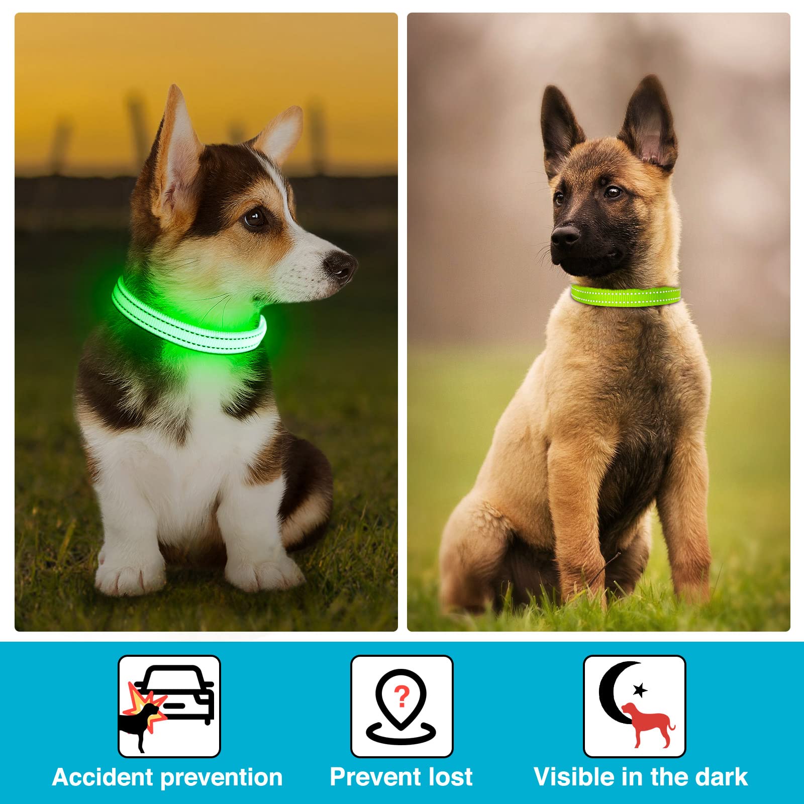Koskill Light Up Dog Collar At Night, Led Dog Collar Adjustable, Lighted Dog Collar Rechargeable Waterproof, Dog Lights For Night Walking, Glow In The Dark Dog Collars Light For Small Pet (S, Green)