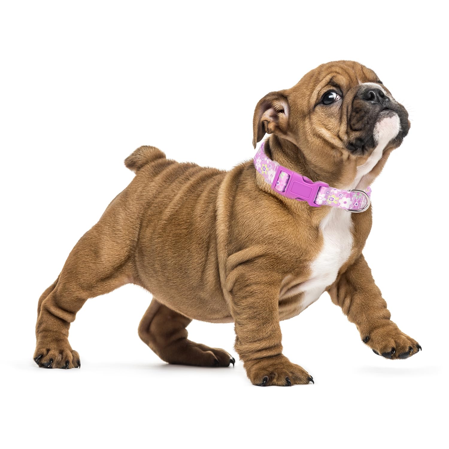 Girl Dog Collar With Purple Floral Patterns, Adjustable Cute Soft Pet Collar With Quick Release Buckle For Small Medium Large Xl