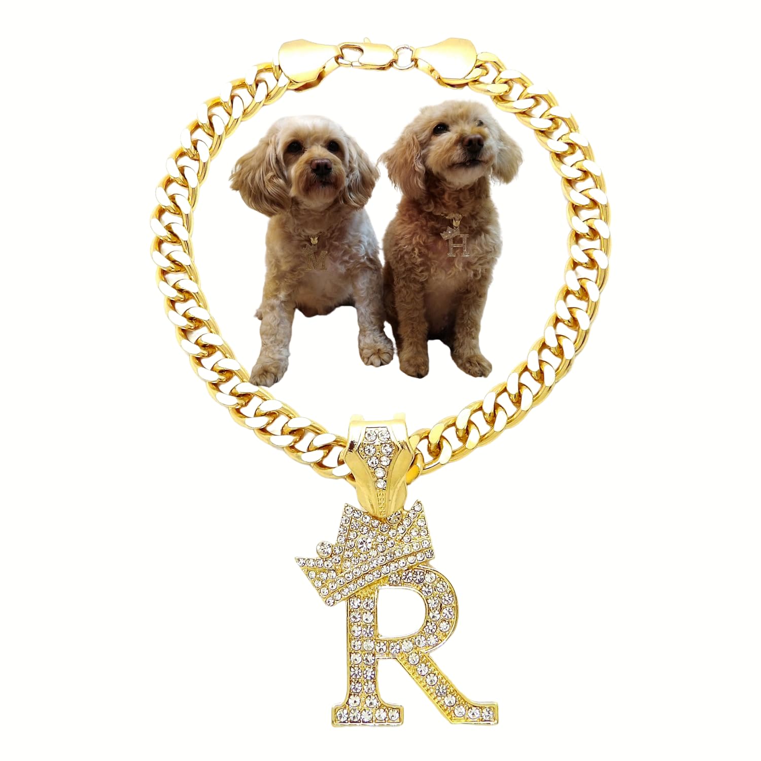 Initial Letter Cuban Chain Dog Chain Pet Chain Pet, Cat, Puppy Necklace (R, 10'')