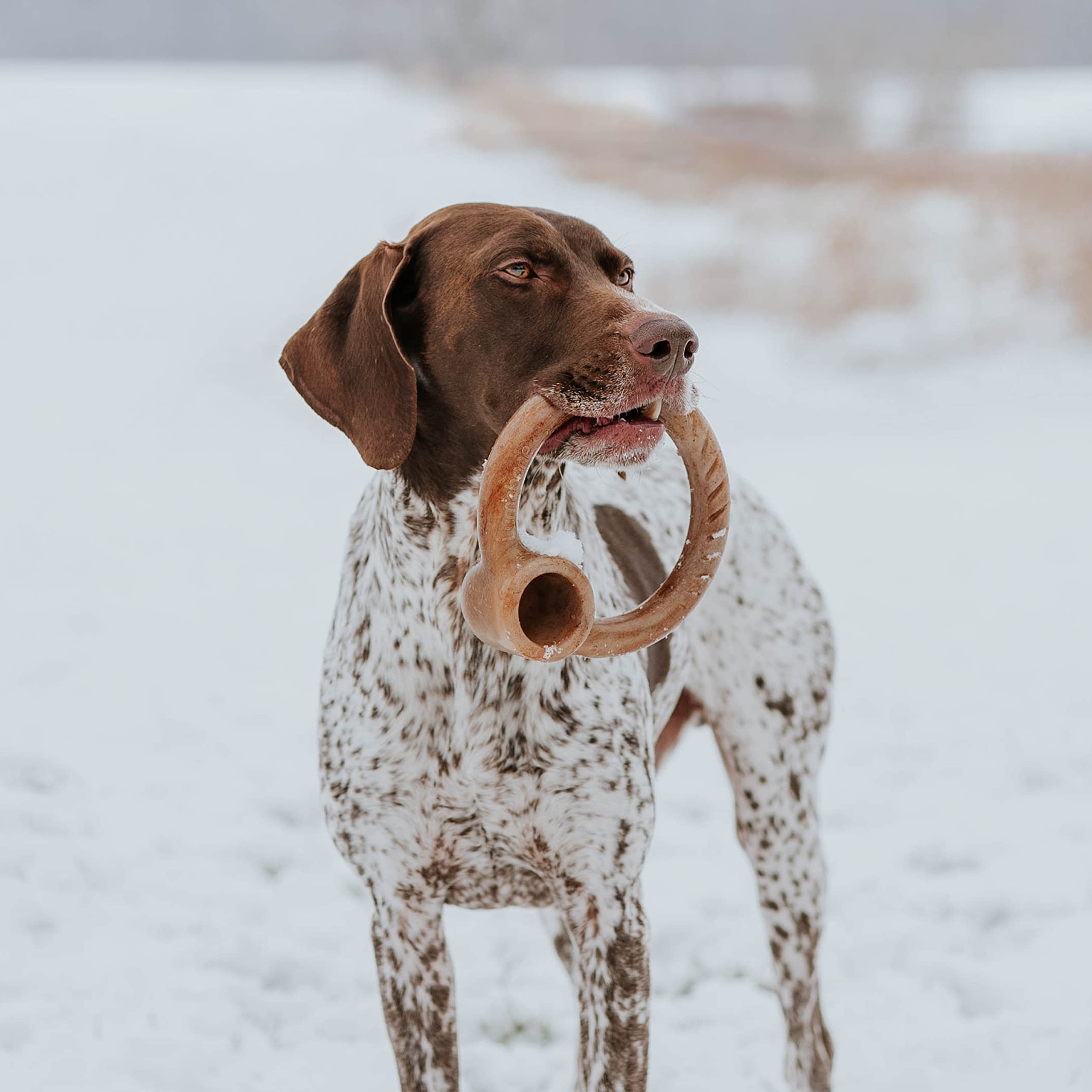 Lumabone Ring Stuffer Durable Chew Toy For Aggressive Chewers, Dog Toys For Aggressive Chewers, Dog Toys, Real Bacon, Made In Usa, Medium